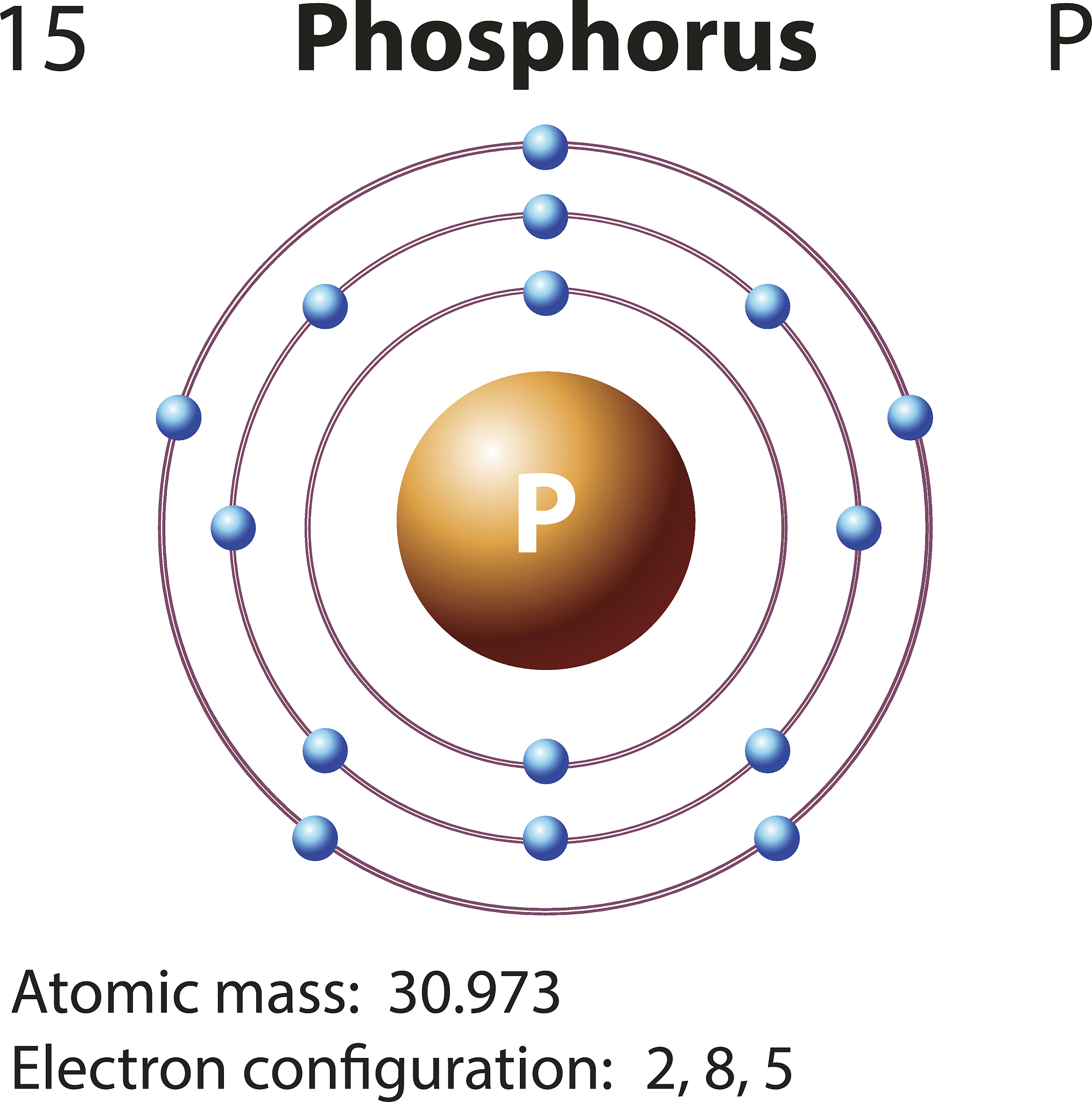 Kelvin 模型描述材料蠕变，而非加载行为