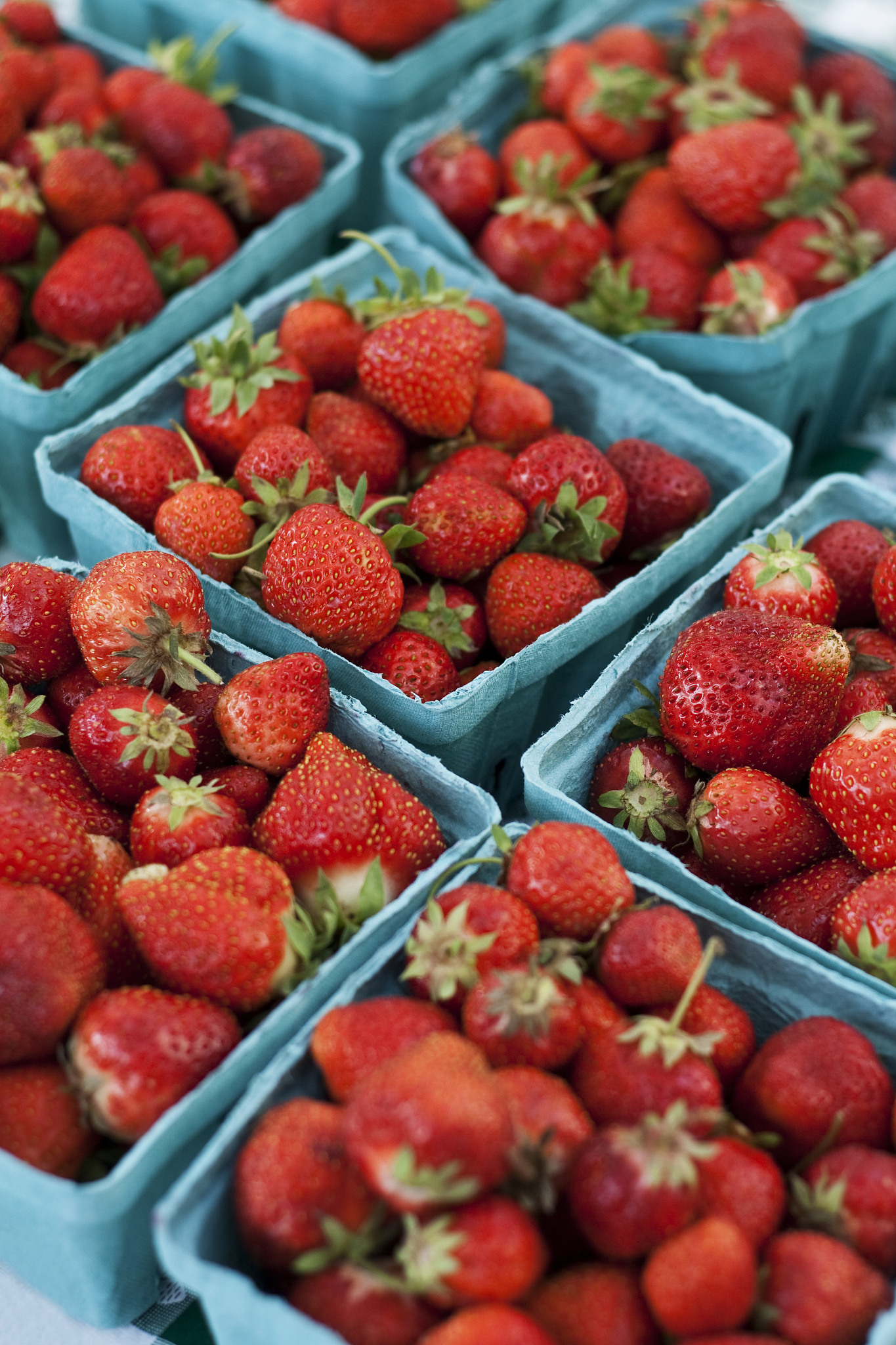 近日EWG发表了2023年度最脏国书榜草莓又是连续八年居榜首。今年的12张清单依次排名为草莓、菠菜、羽衣甘蓝和芥菜桃子、梨、油桃、苹果、葡萄、甜椒和辣椒樱桃、蓝莓和四季豆。农药残留其实一直都是大家担心和关注的题那这个排行一出经常吃的这些蔬果还能吃吗？首先这个最脏果蔬榜单都是针对美国市场上的产品而2022年我国农产品的总体合格率约为976所以如果您从超市、大型农贸市场等正规渠道购买的其安全性会更有保