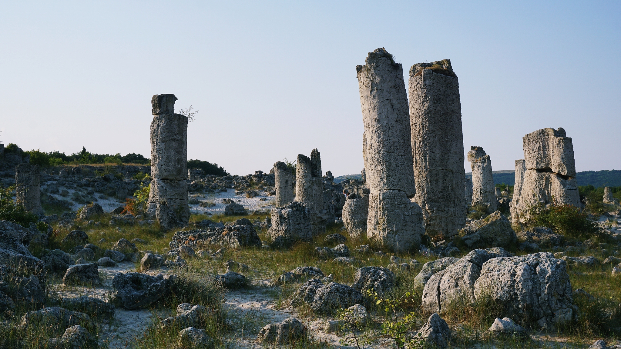the stone forest in bulgaria