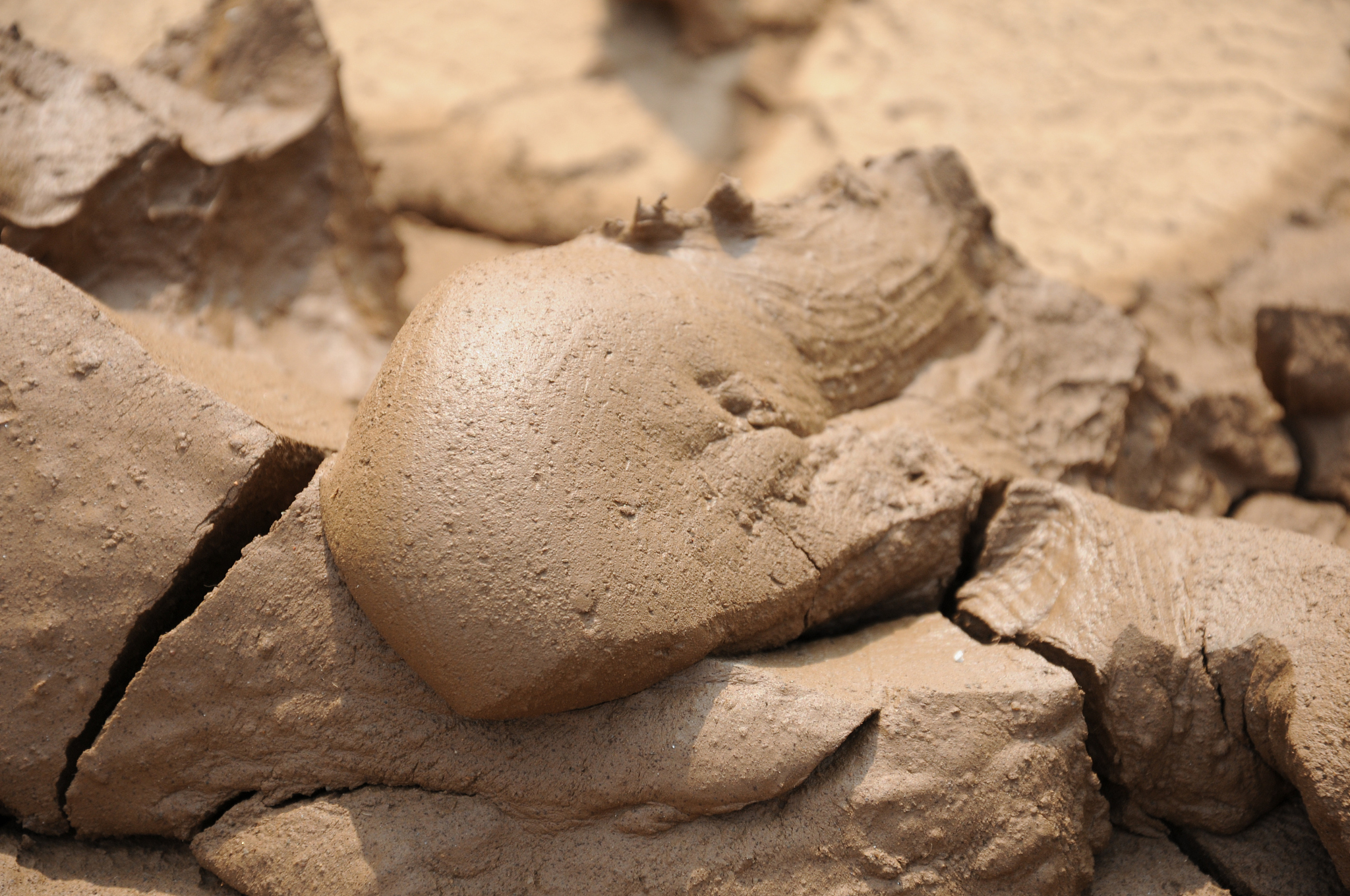 人类可以吃泥巴吗