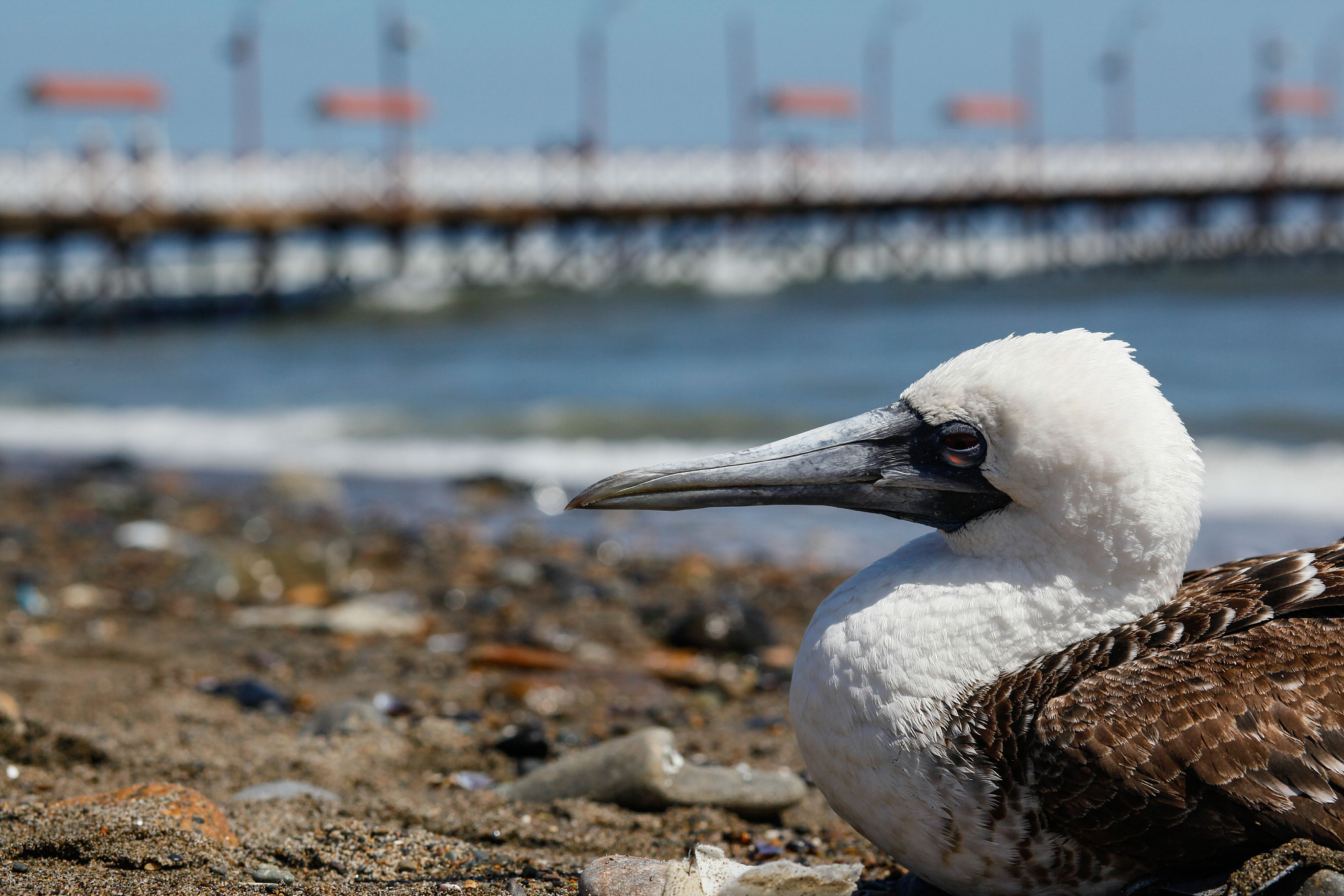 江西工业贸易职业技术学院10月高职扩招考生须知 - 报考指南、备考建议