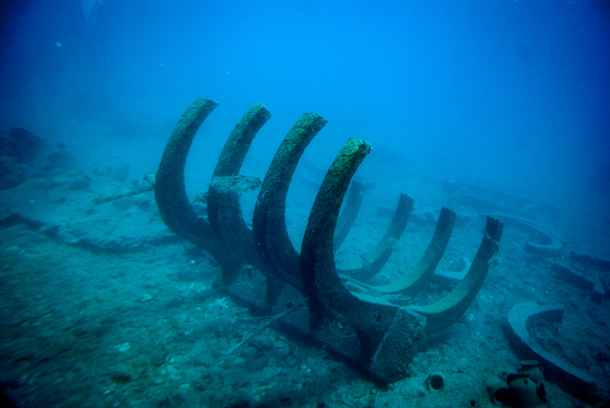 a ship wreck in the blue water