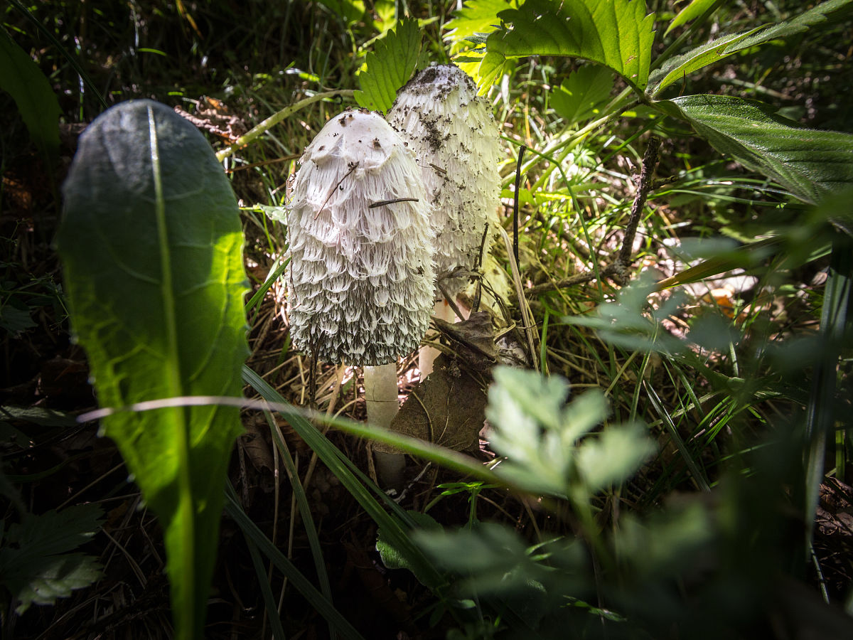 秋季招生中专学校推荐：选择指南和热门专业