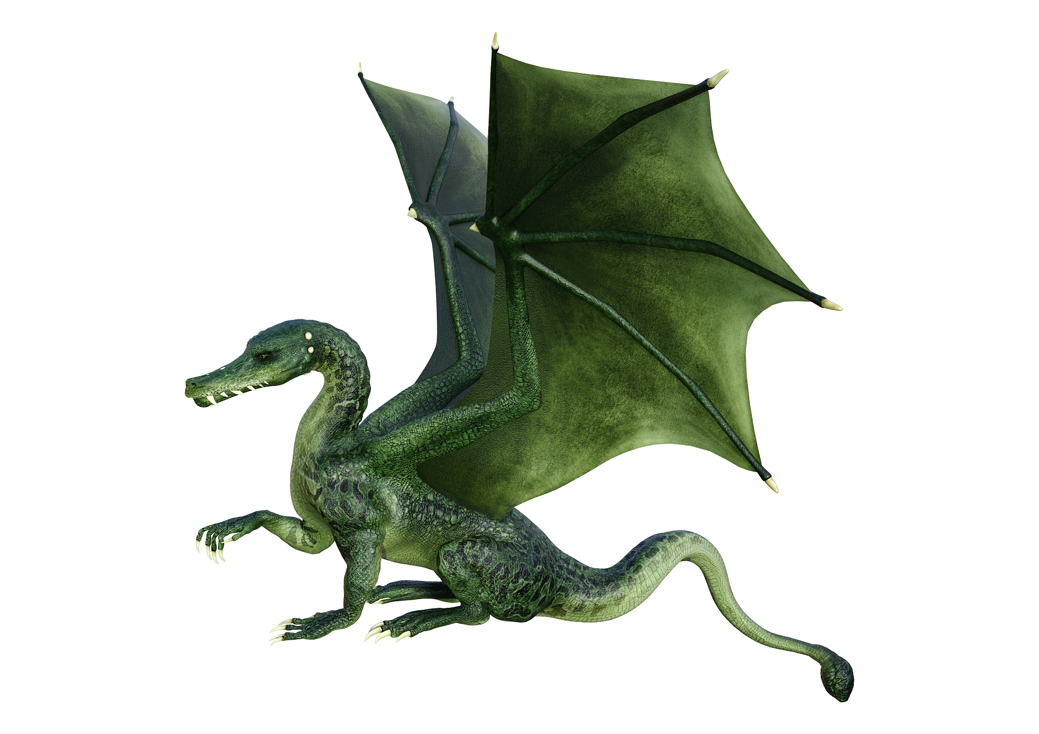 3d illustration fantasy dragon on white