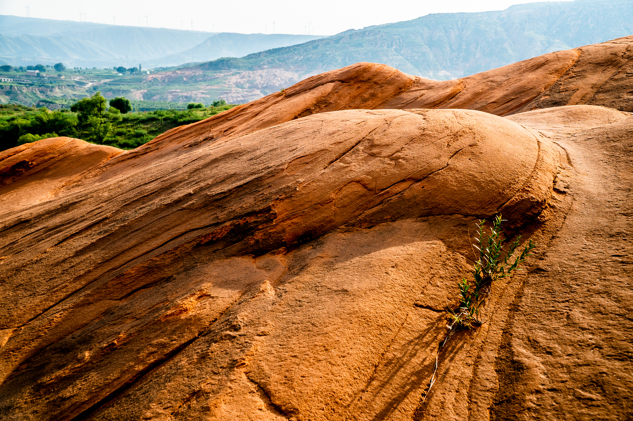 延安女生上什么中专学校比较好好不好