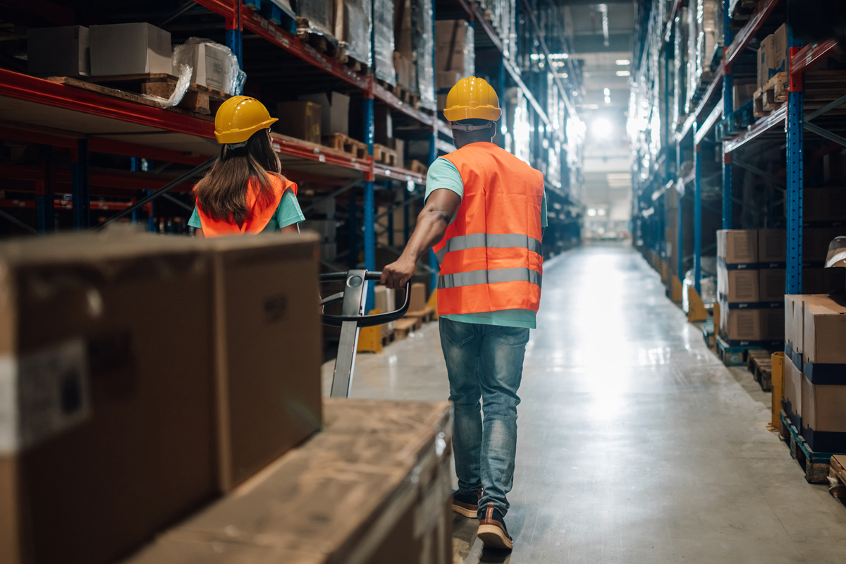 请以一个实习物流员为角度以专业术语来谈谈每天的收获