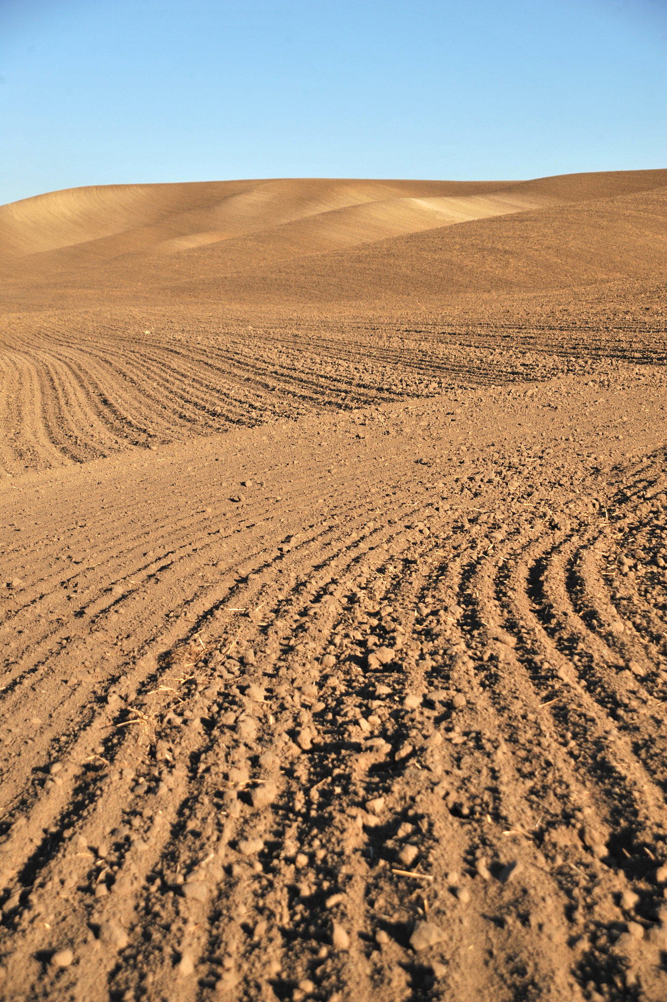 tilled fields