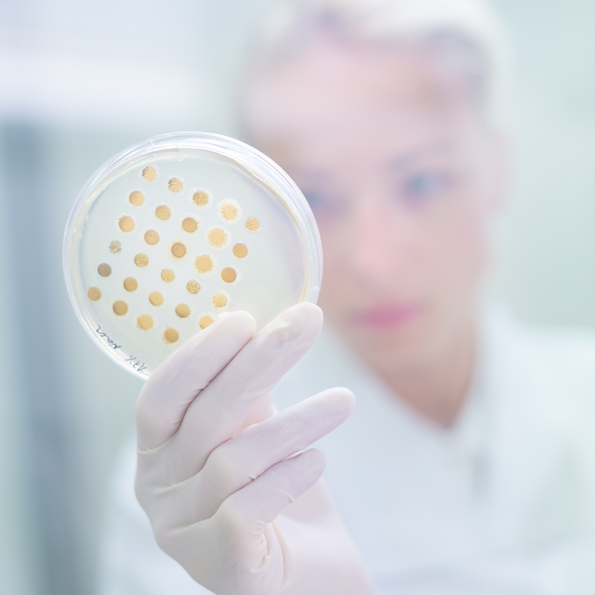 绵阳理工学校招生专业有哪些？热门专业介绍及特色