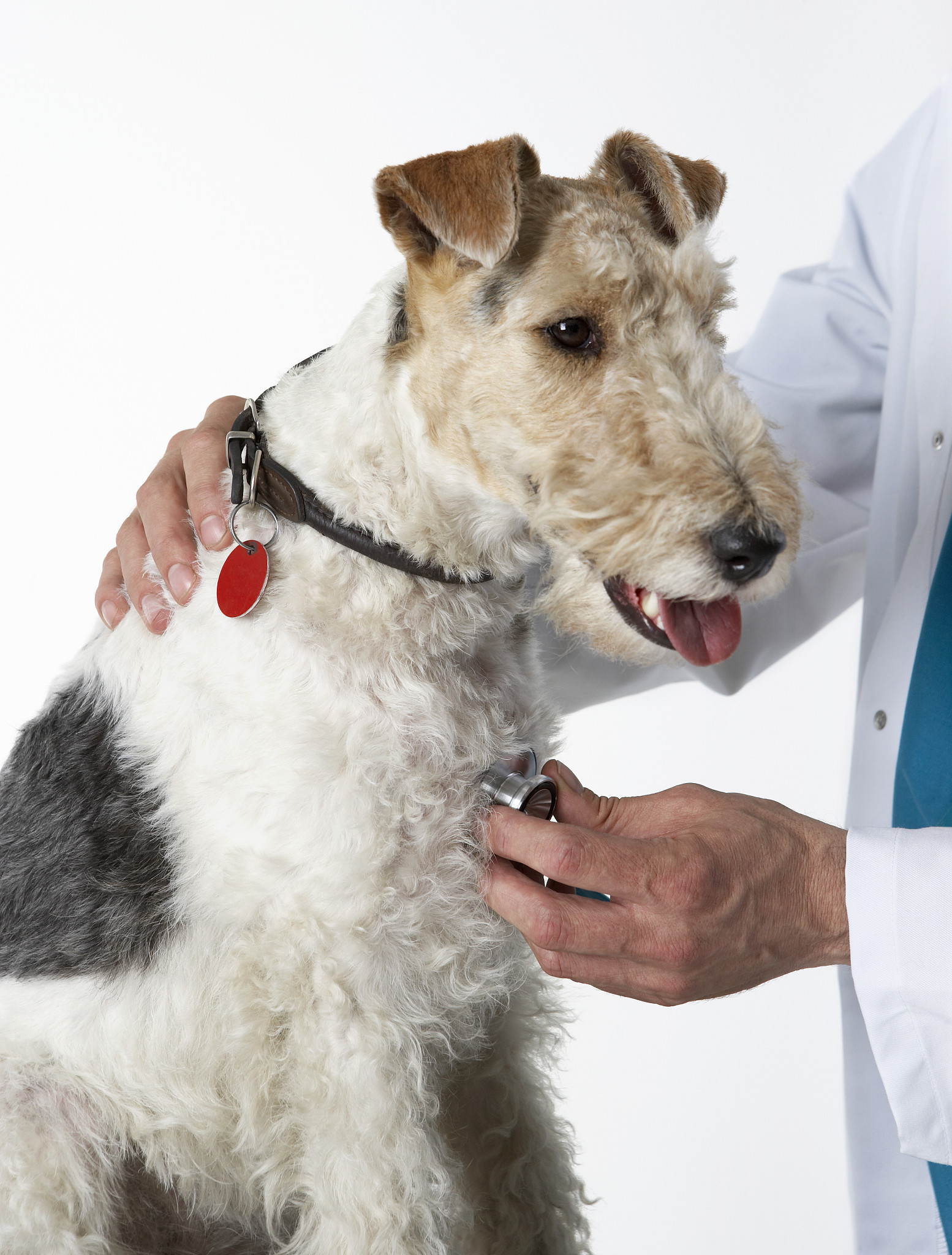 广西柳州畜牧兽医学校办学特色 - 培养畜牧兽医人才的摇篮