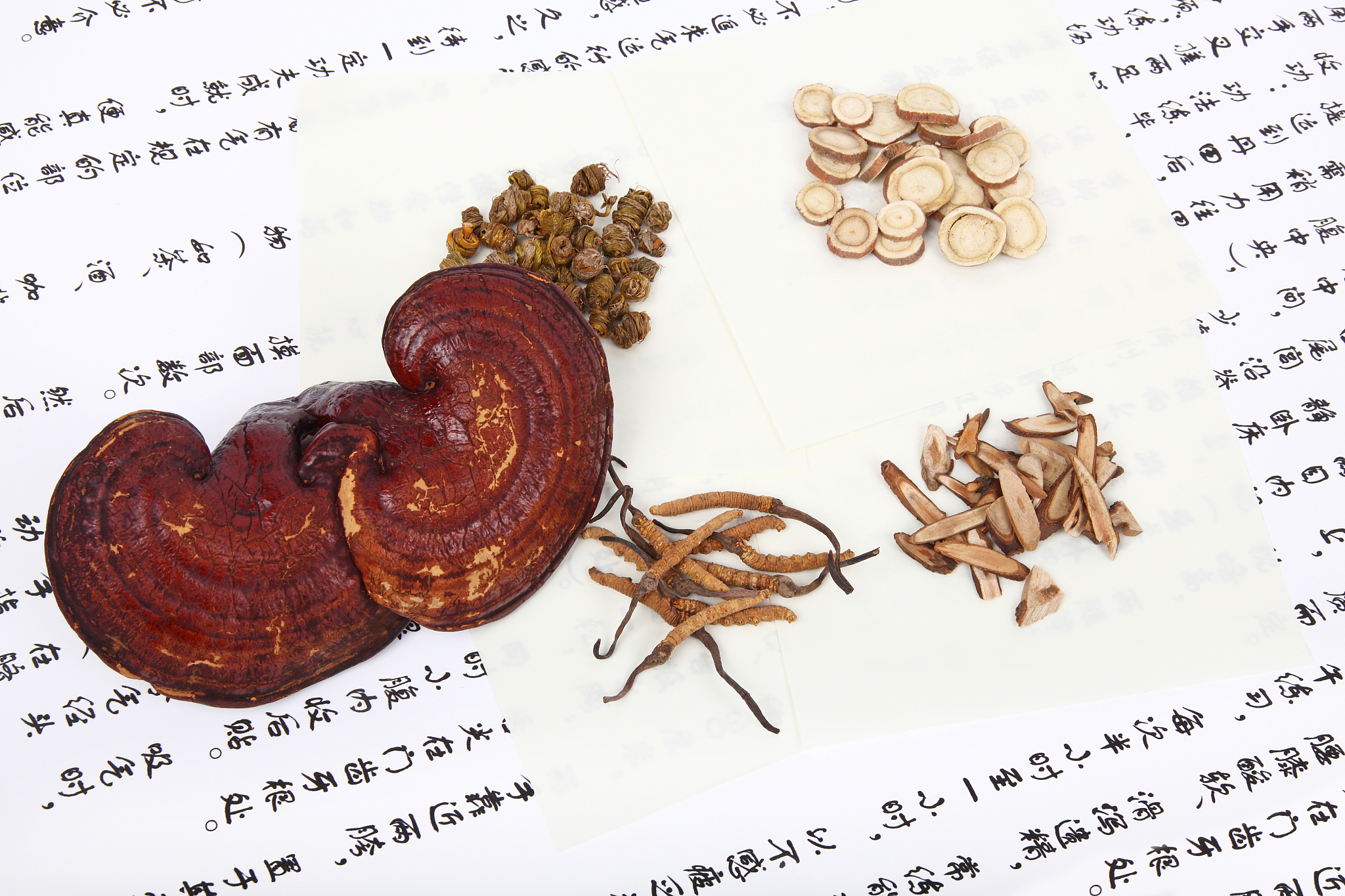 吉凤芝：功效、作用、药用价值详解 - 灵芝之王
