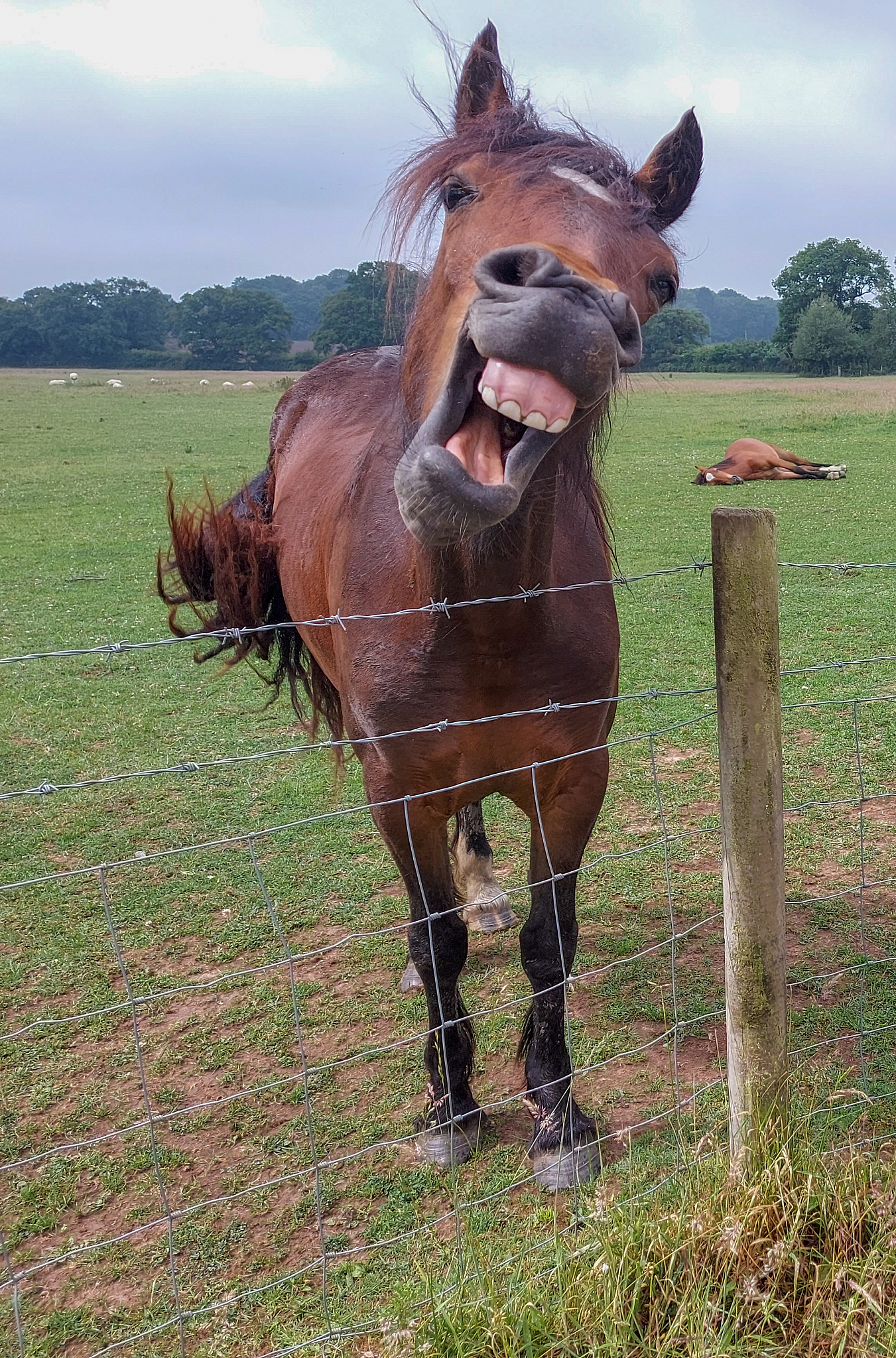 smile!