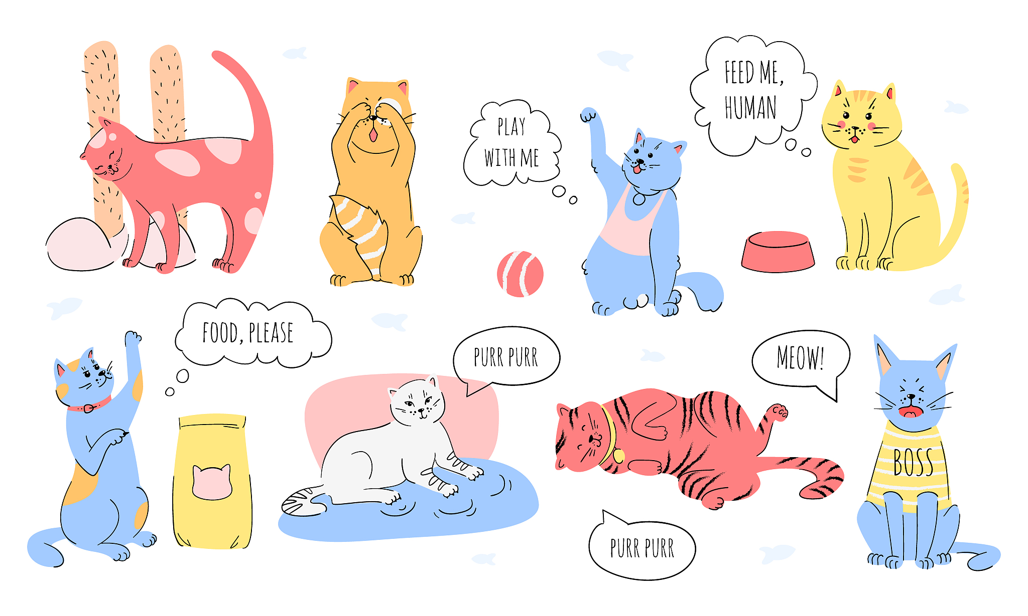 哔哩哔哩养猫UP主：分享猫咪日常、经验，传递养猫文化