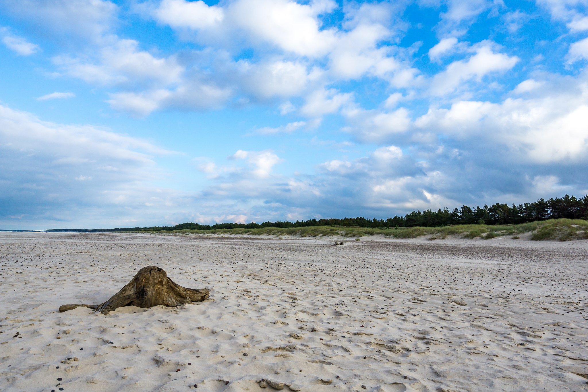 青岛海洋技师学院好不好？用发