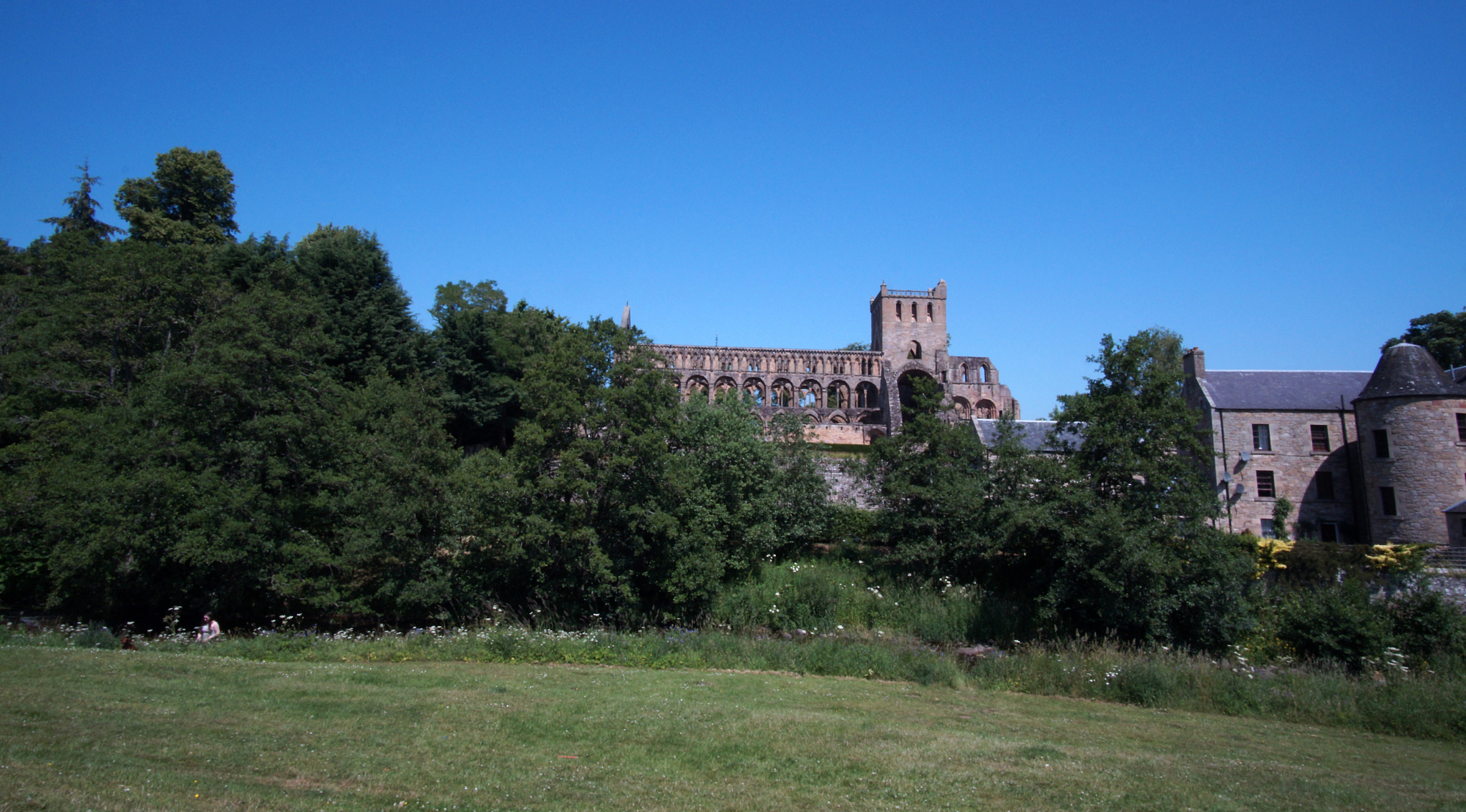 jedburgh abbey