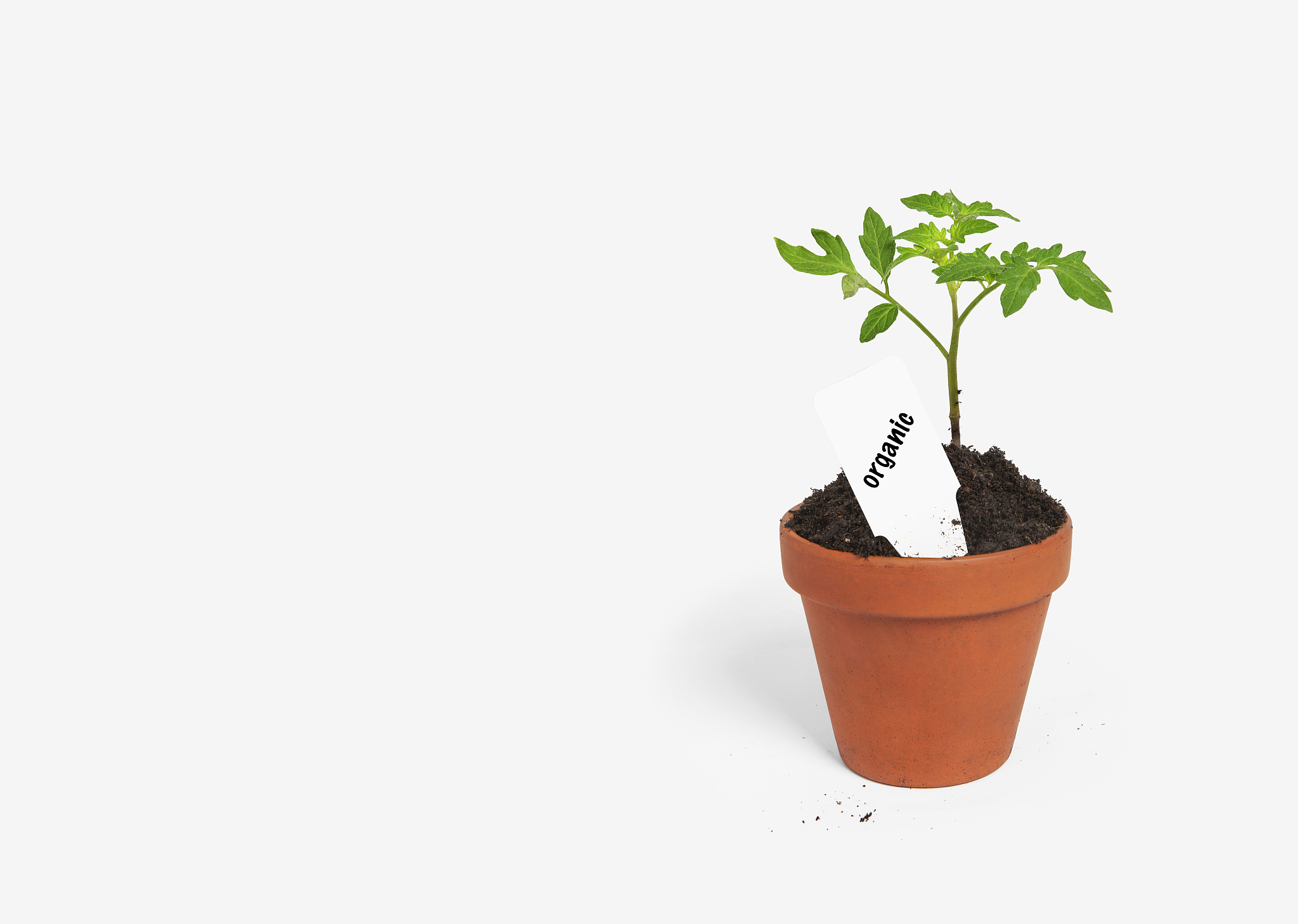 欧洲食品膨大剂使用情况详解：安全、合法、透明