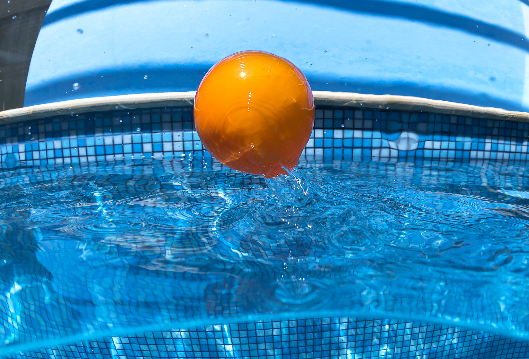 fun in the swimming pool