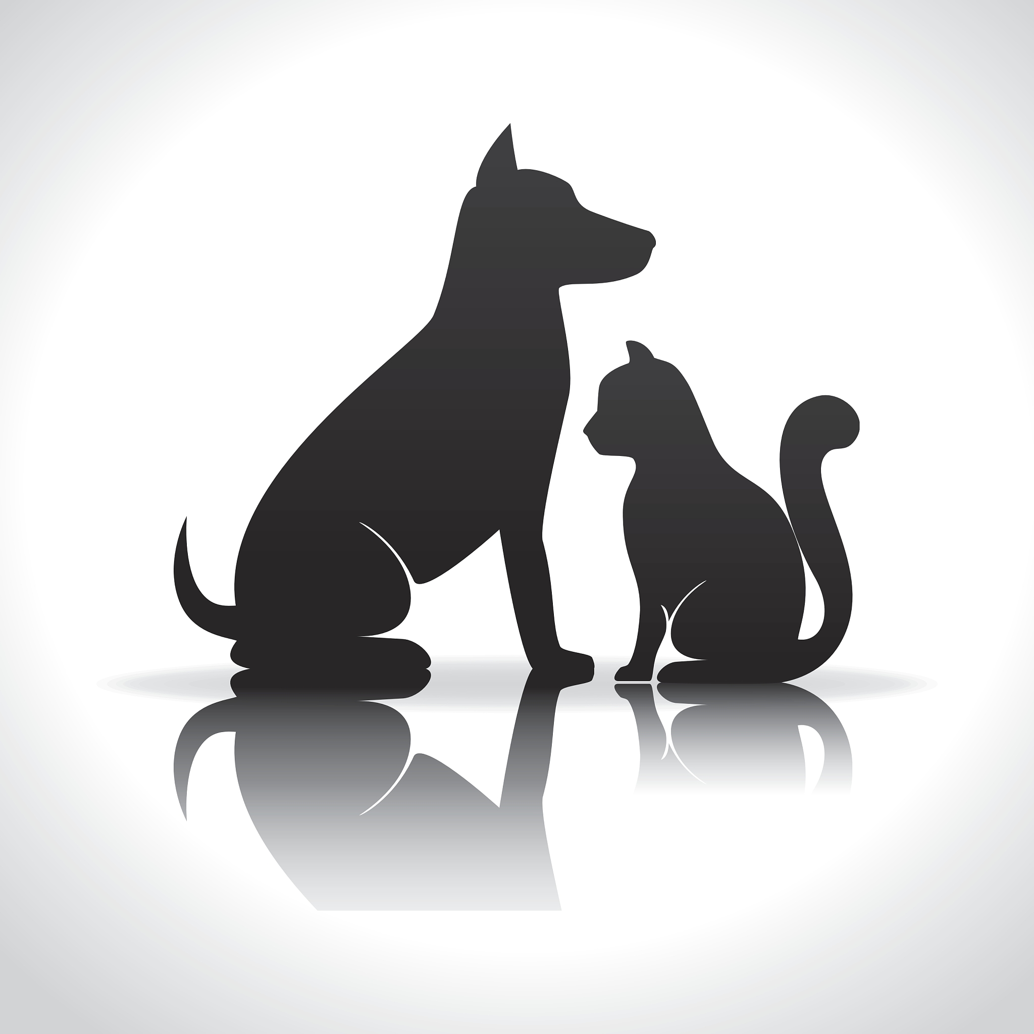 西安理工大学的电气工程及其自动化专业就业方向有哪些