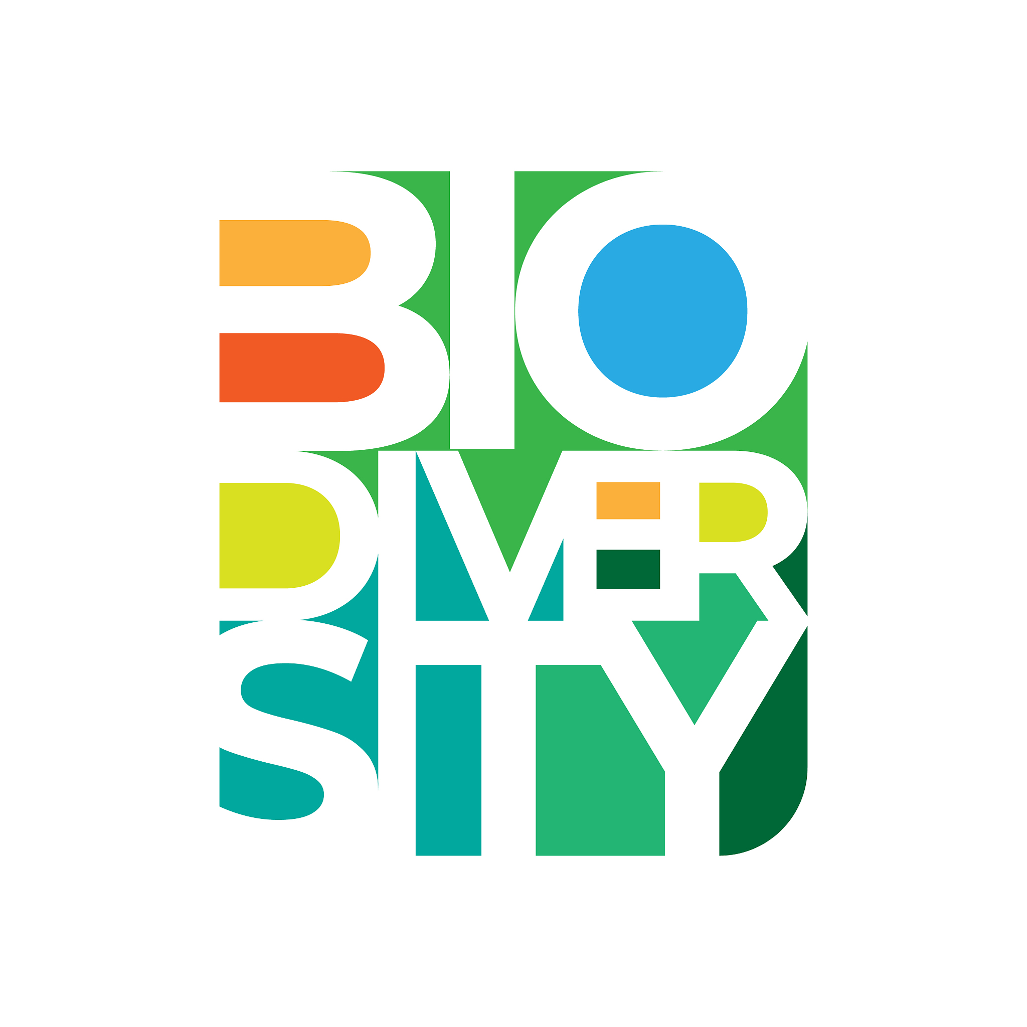 biodiversity poster design in square composition