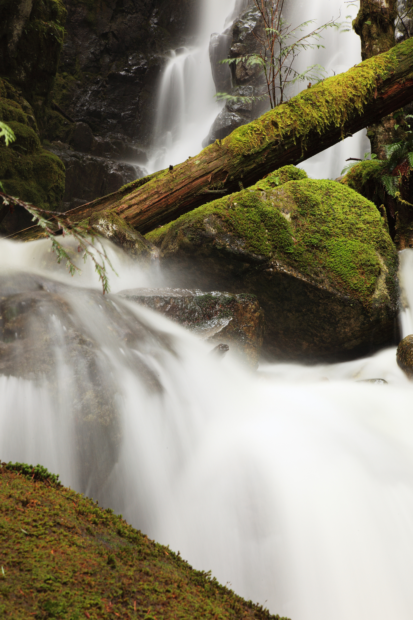 游山玩水，领悟人生百态：从快乐到悲凉的感悟