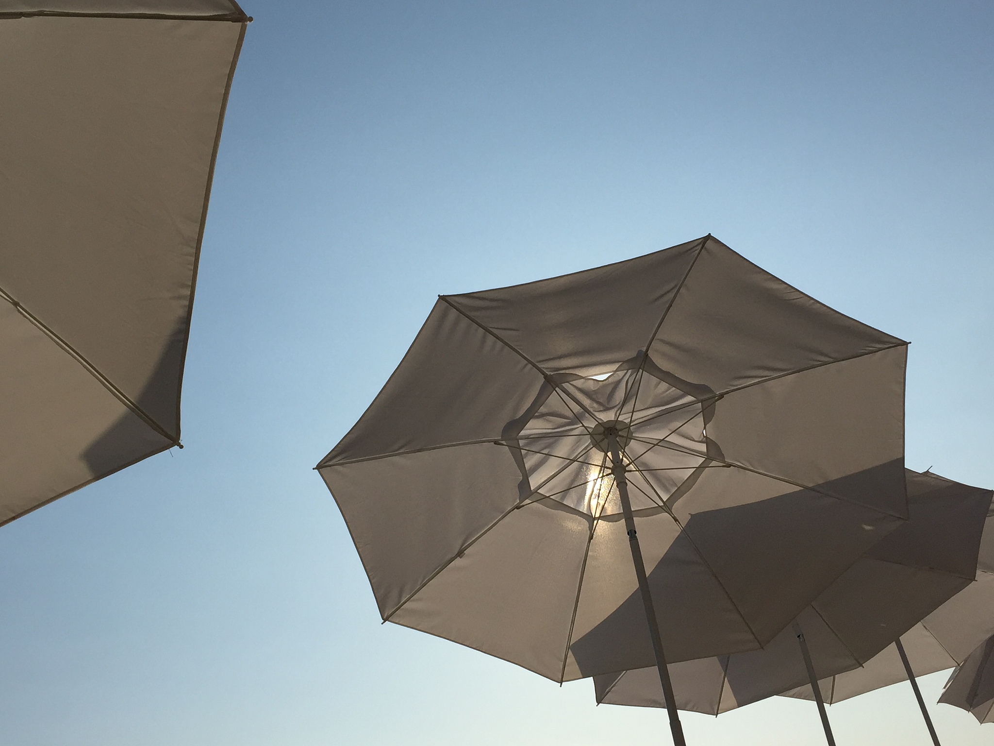 white parasols, blue sky