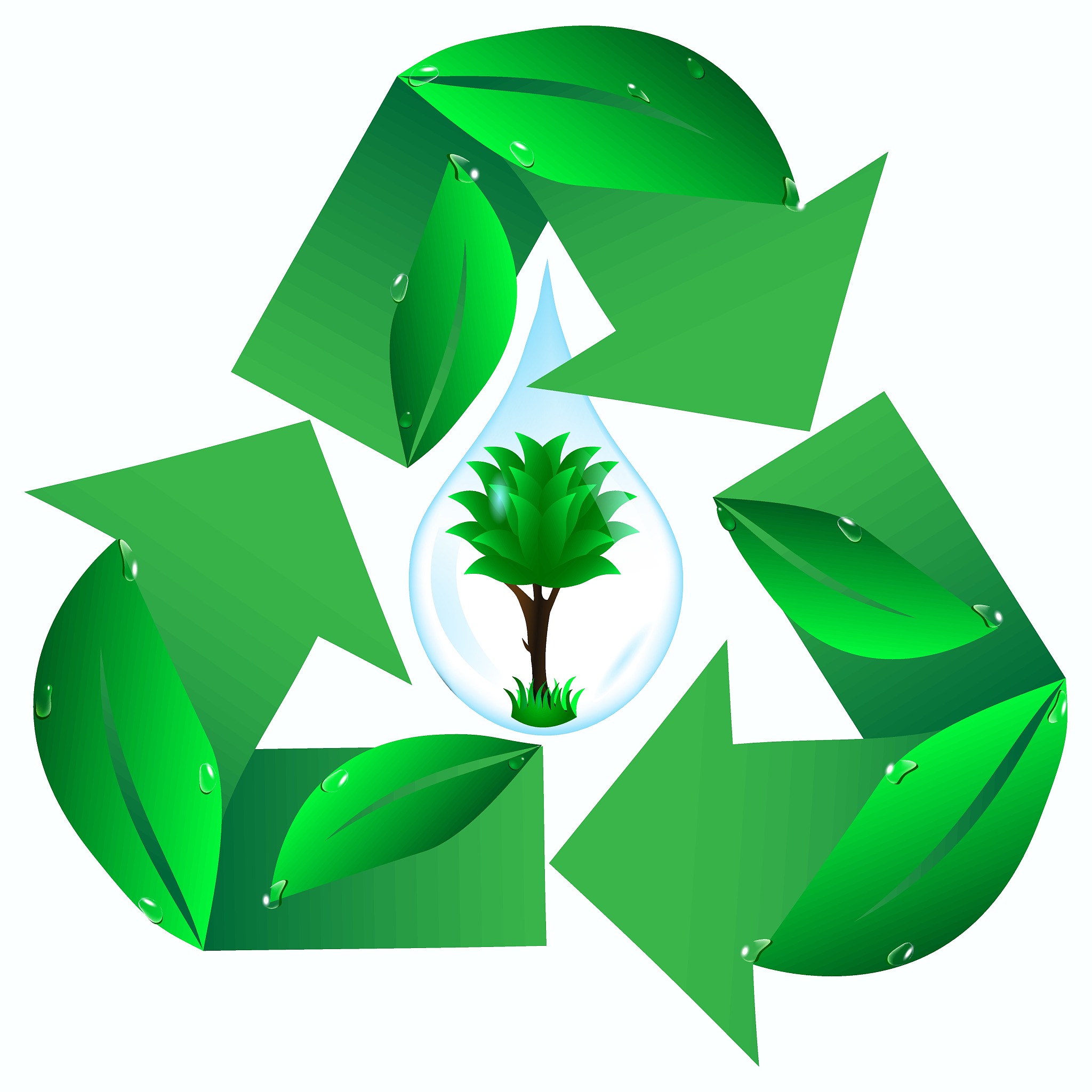 logo ecology