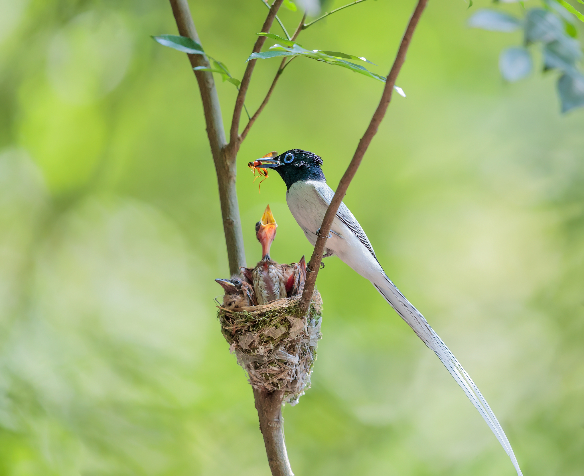 赞美父爱的诗句名言
