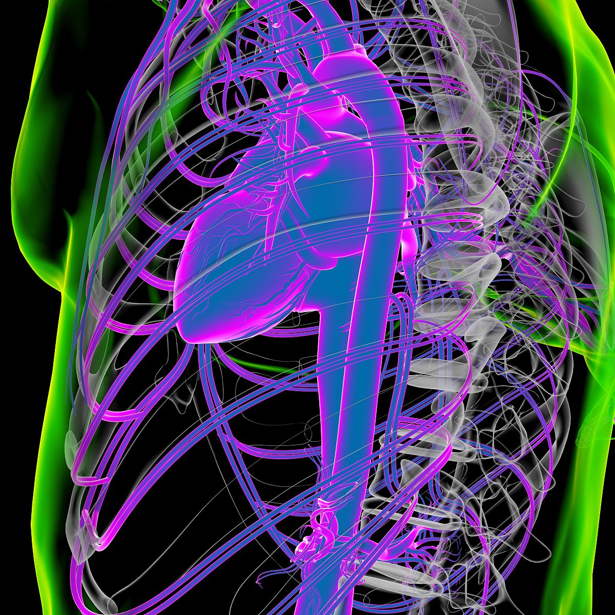是否可以在3D U-Net网络的基础上增加一些分类的结构使其能够同时分割肾脏、肝脏和脾脏的同时对每一个器官有无创伤的状态分别做二分类任务请制定一个详细的方案并将网络模型的代码构建出来请使用torch框架