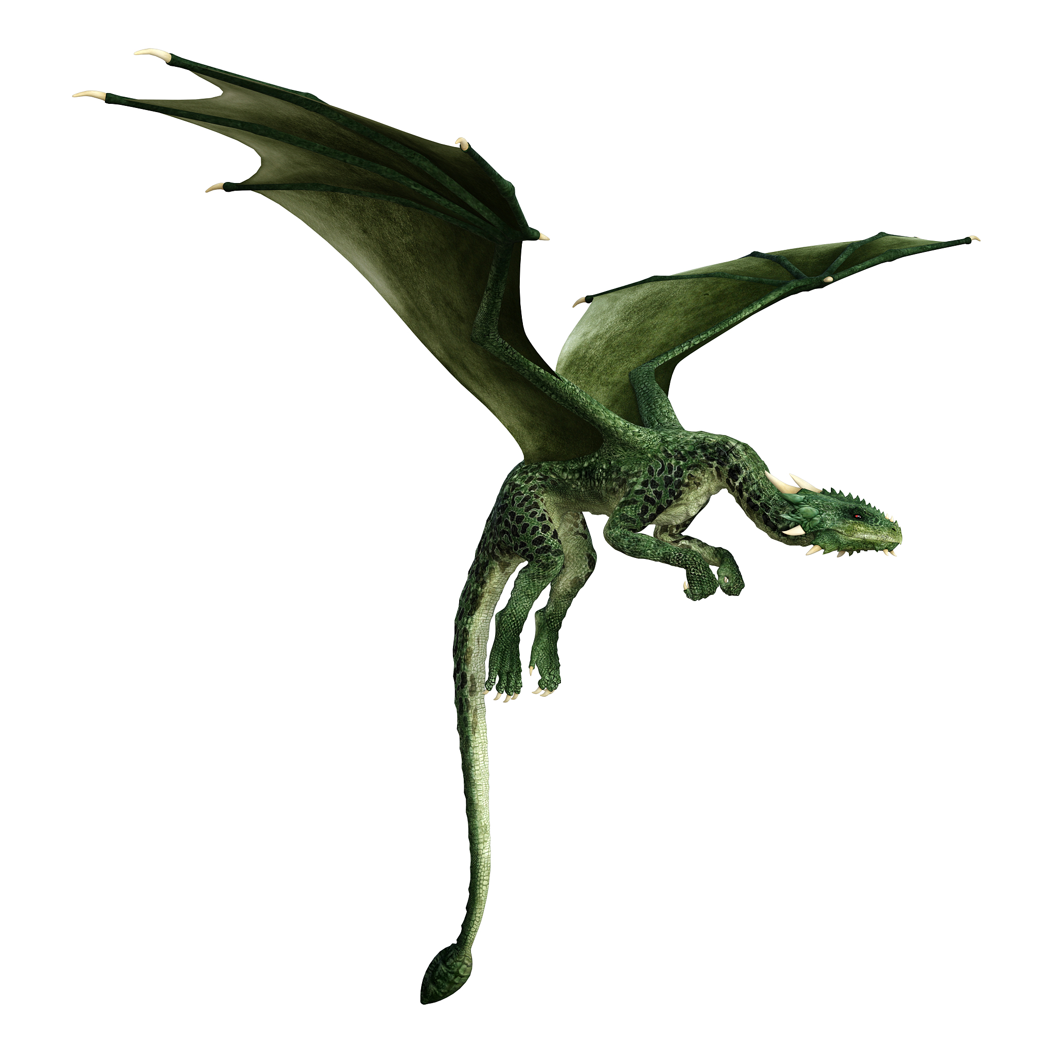 3d illustration fantasy dragon on white