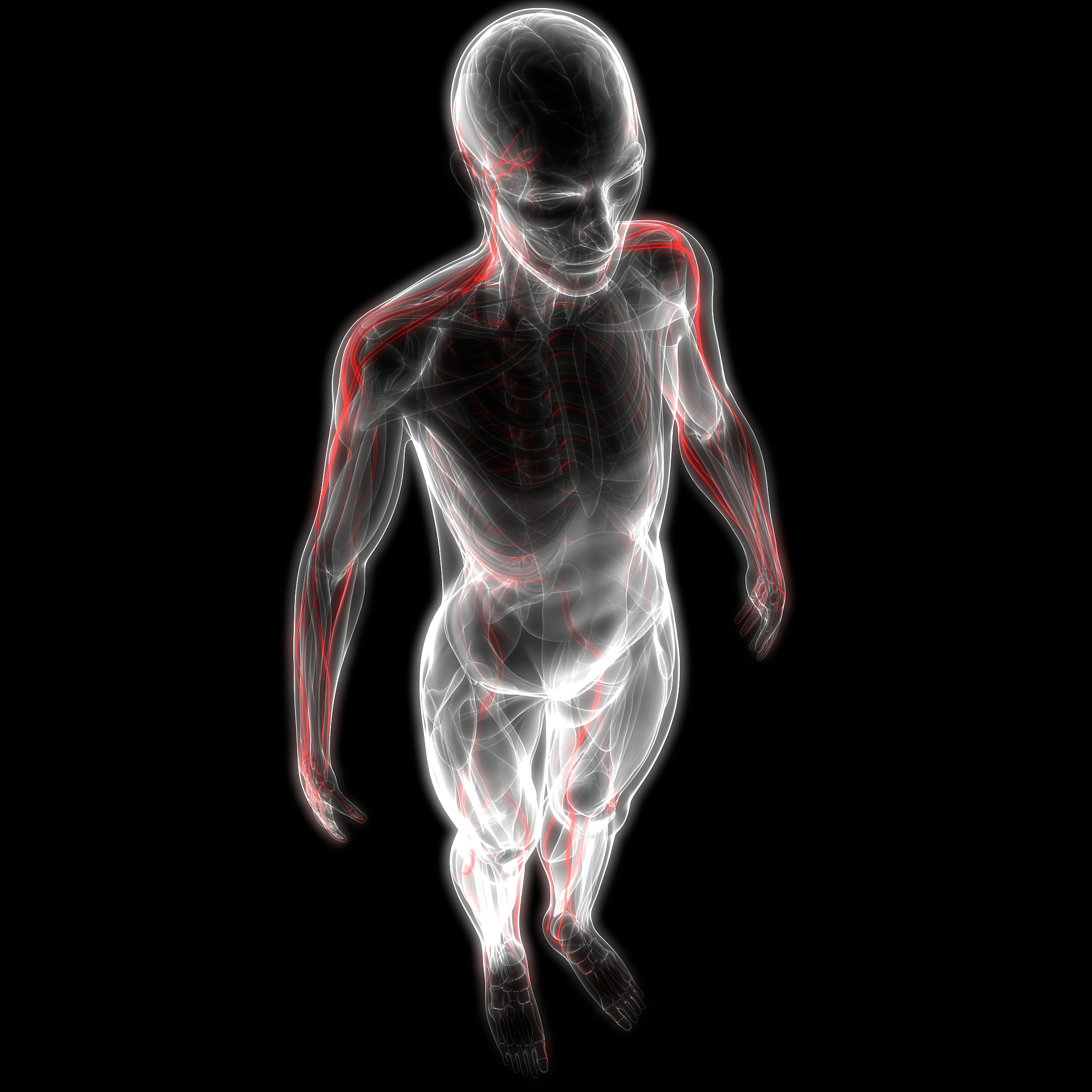标枪运动中的生理学知识：肌肉、神经、呼吸、能量和心血管