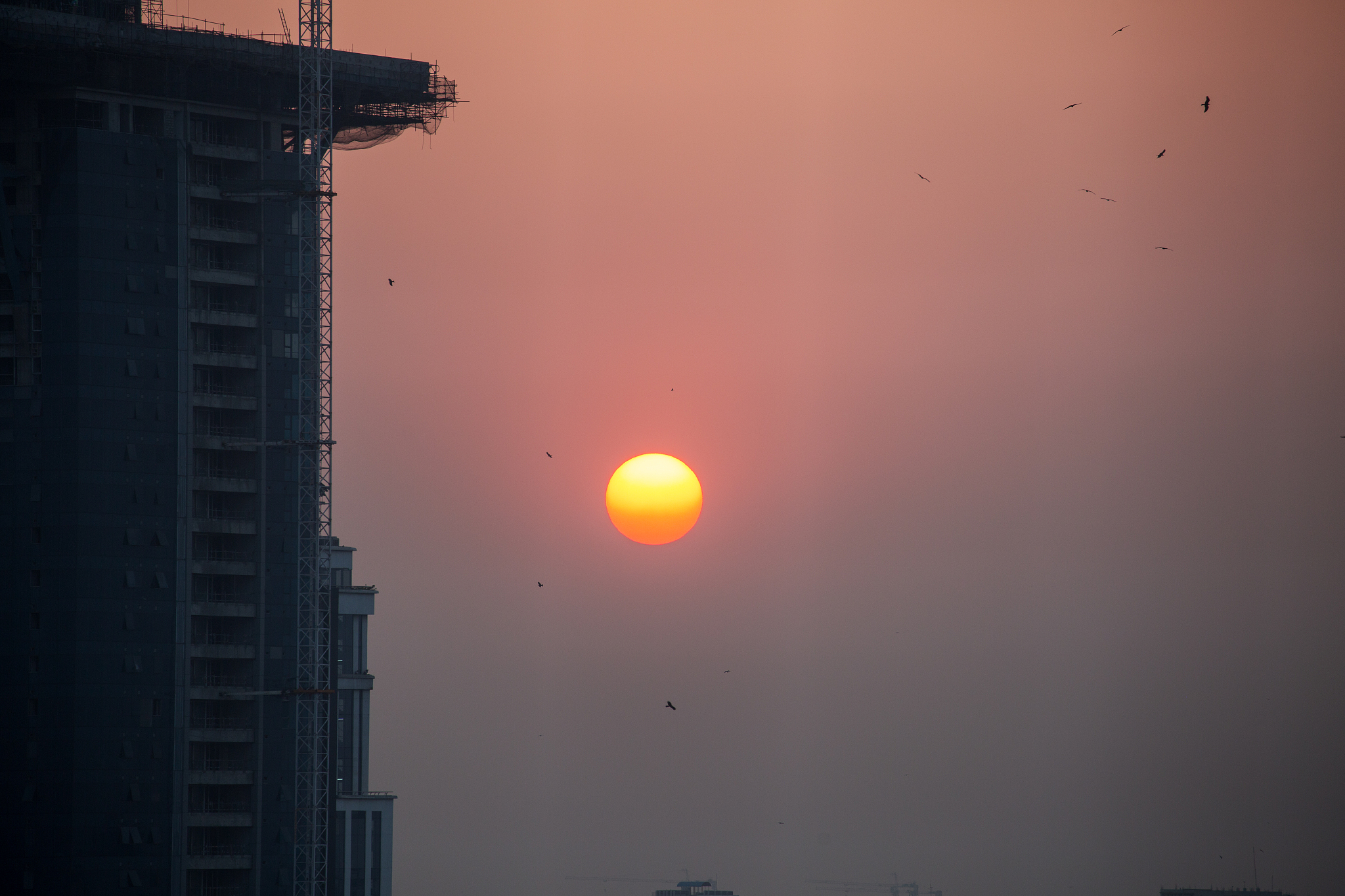 图像分类中的视觉注意机制：端到端一致性引导网络