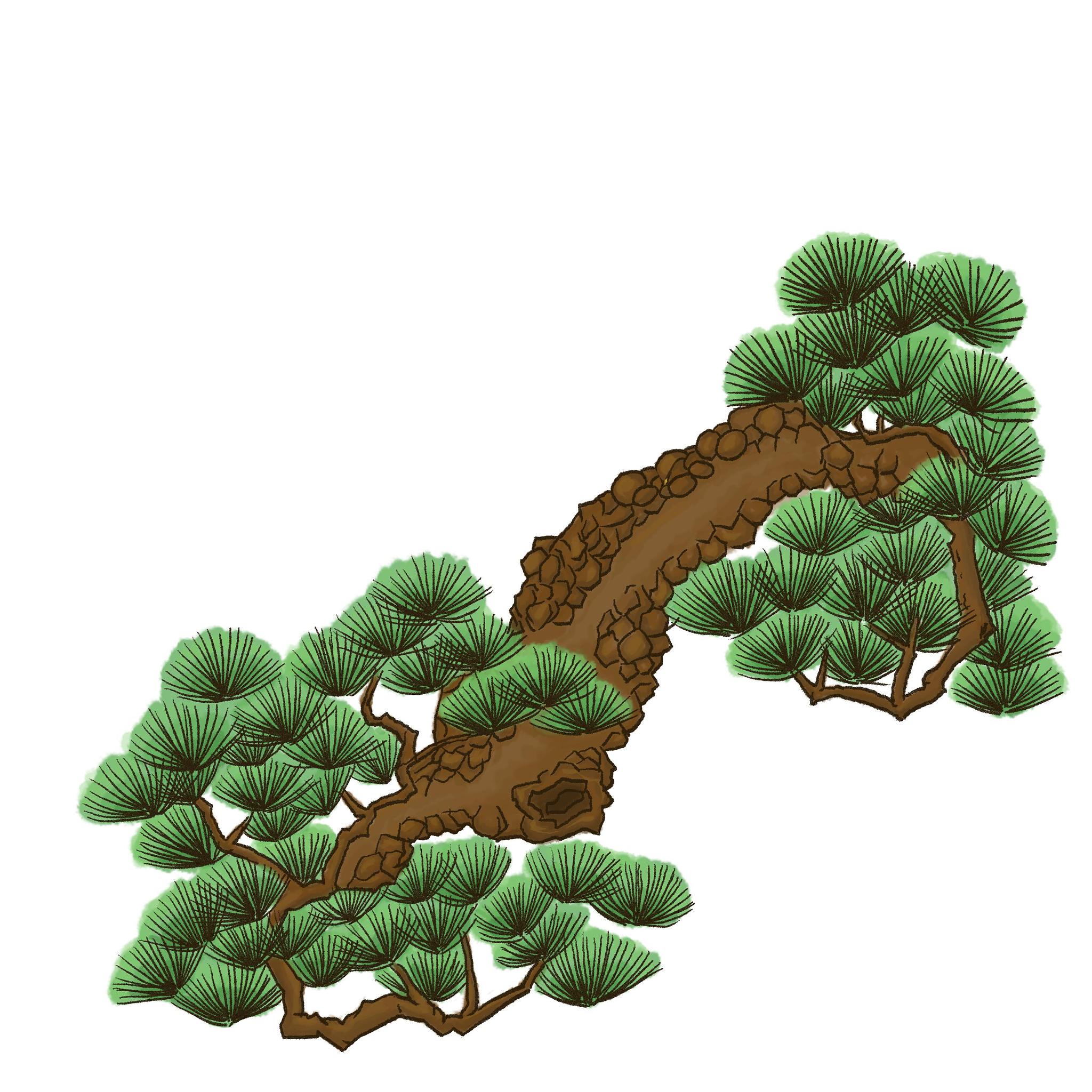 从文化视角如何定义松柏品质？松柏品质有哪些？请详细论述。