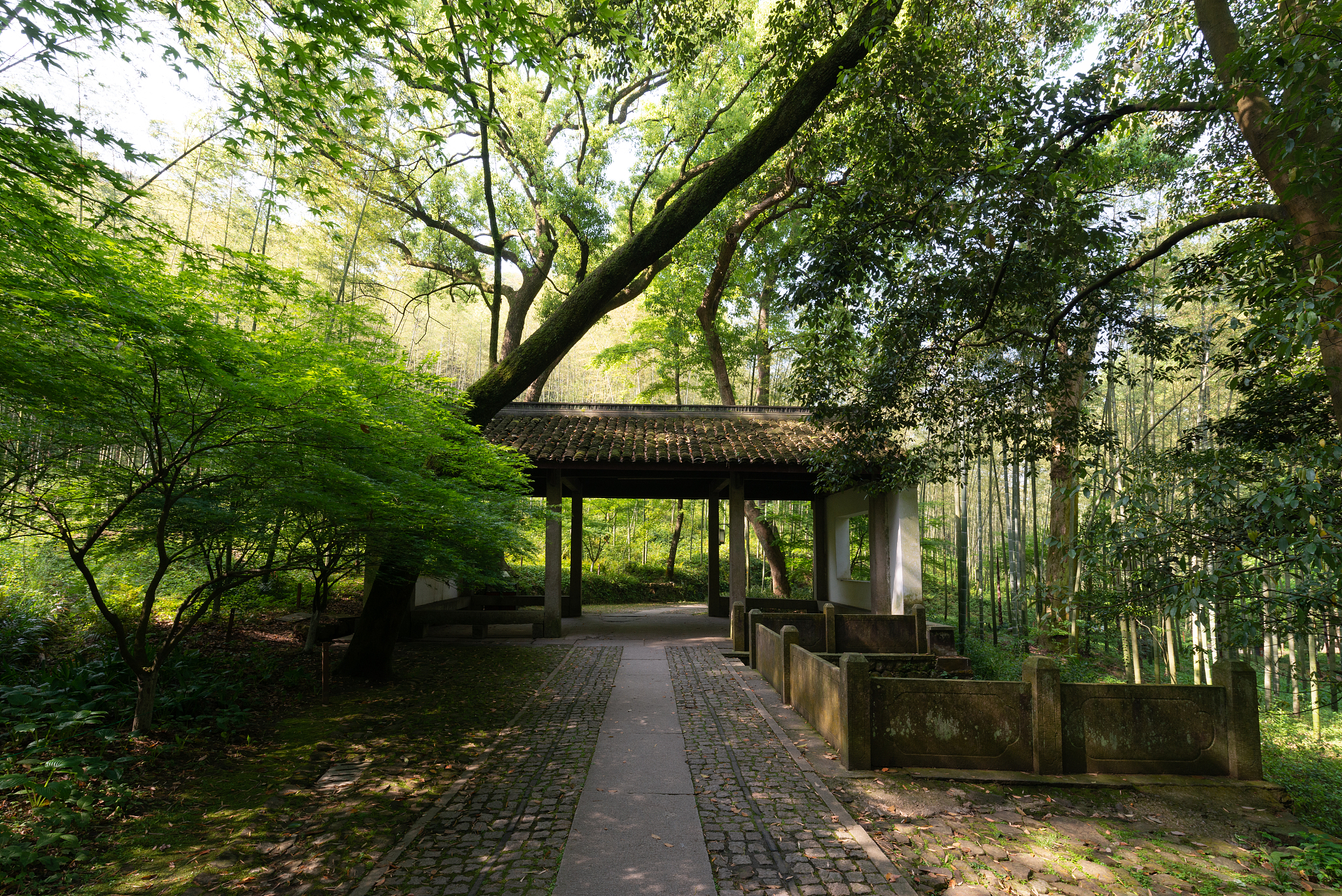 浙江杭州西湖钱塘江曲院风荷云栖竹径西湖十景<strong>世界</strong>遗产城市风光