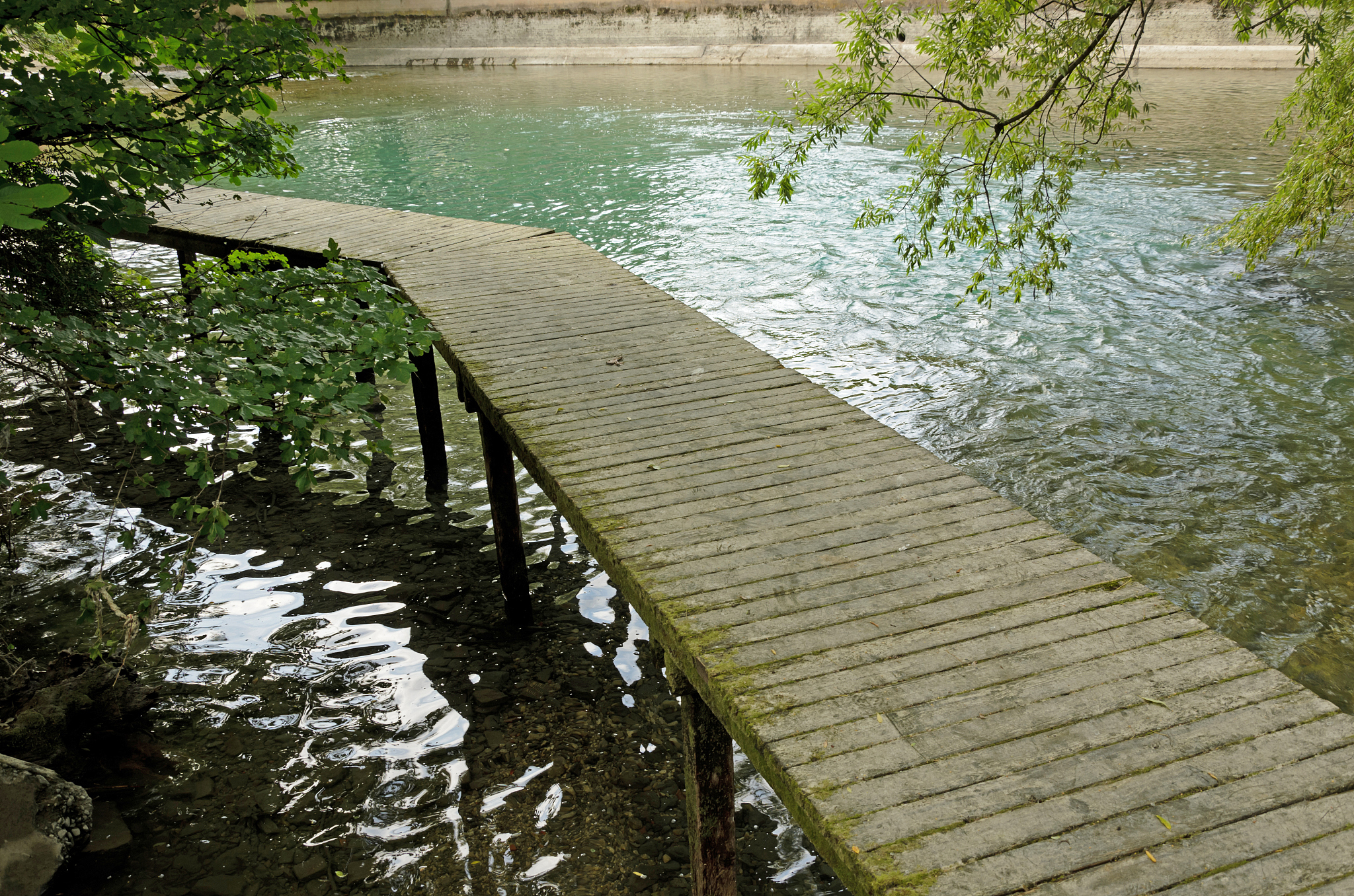酥雨长街渐湿尘画桥金柳自垂纶。青衫红袖如花伞撑出江南一半春。将这首诗翻译成英语