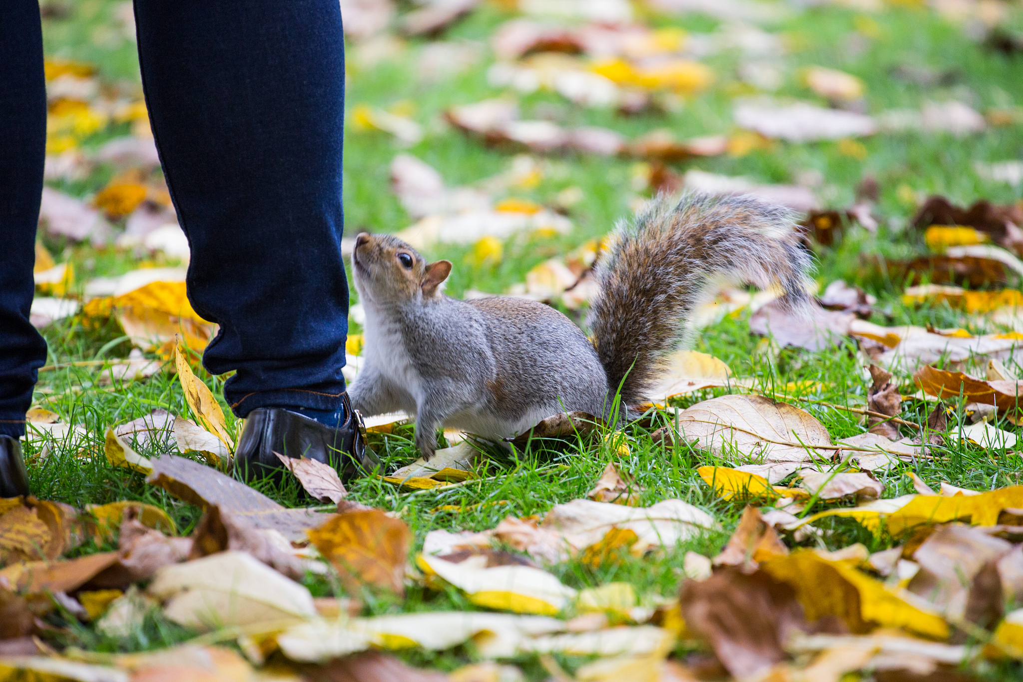 讲一个有趣的故事