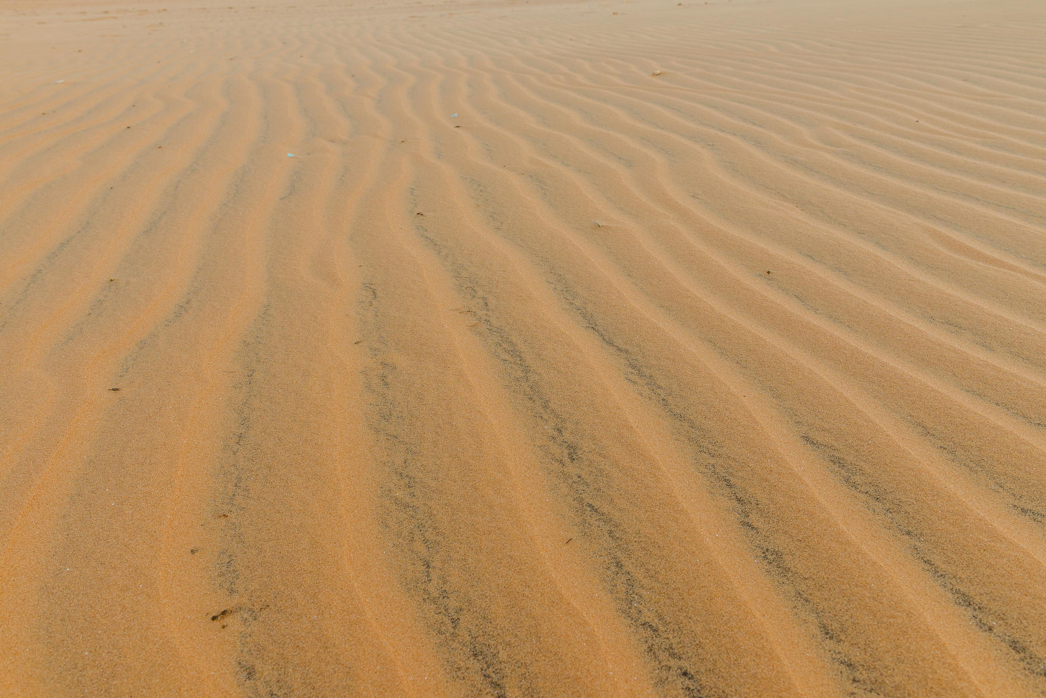 sand dunes, mui ne south vietnam dec 2016