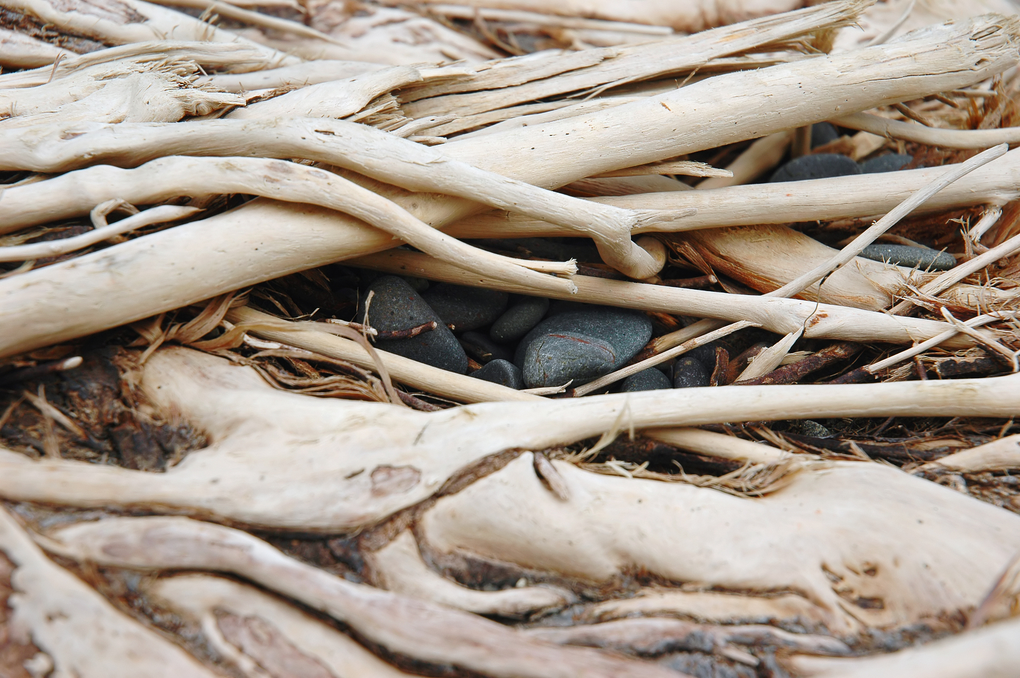 黑龙江生态工程职业学院中药专业怎么样