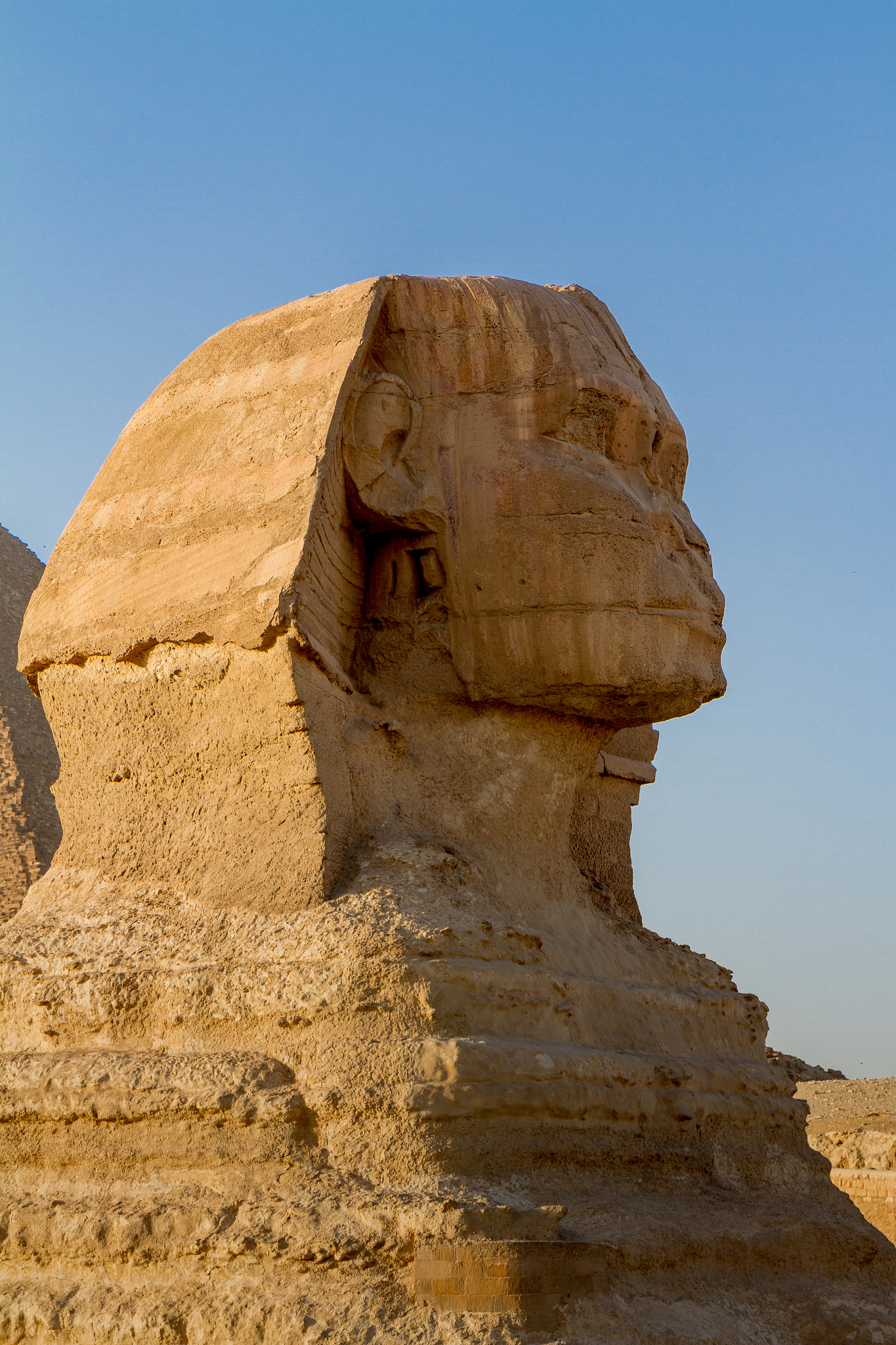 the head of the great sphinx at the great pyramids of giza