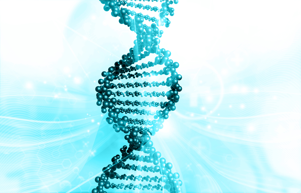 INTERNATIONAL JOURNAL OF BIOCHEMISTRY & CELL BIOLOGYl杂志研究范围？