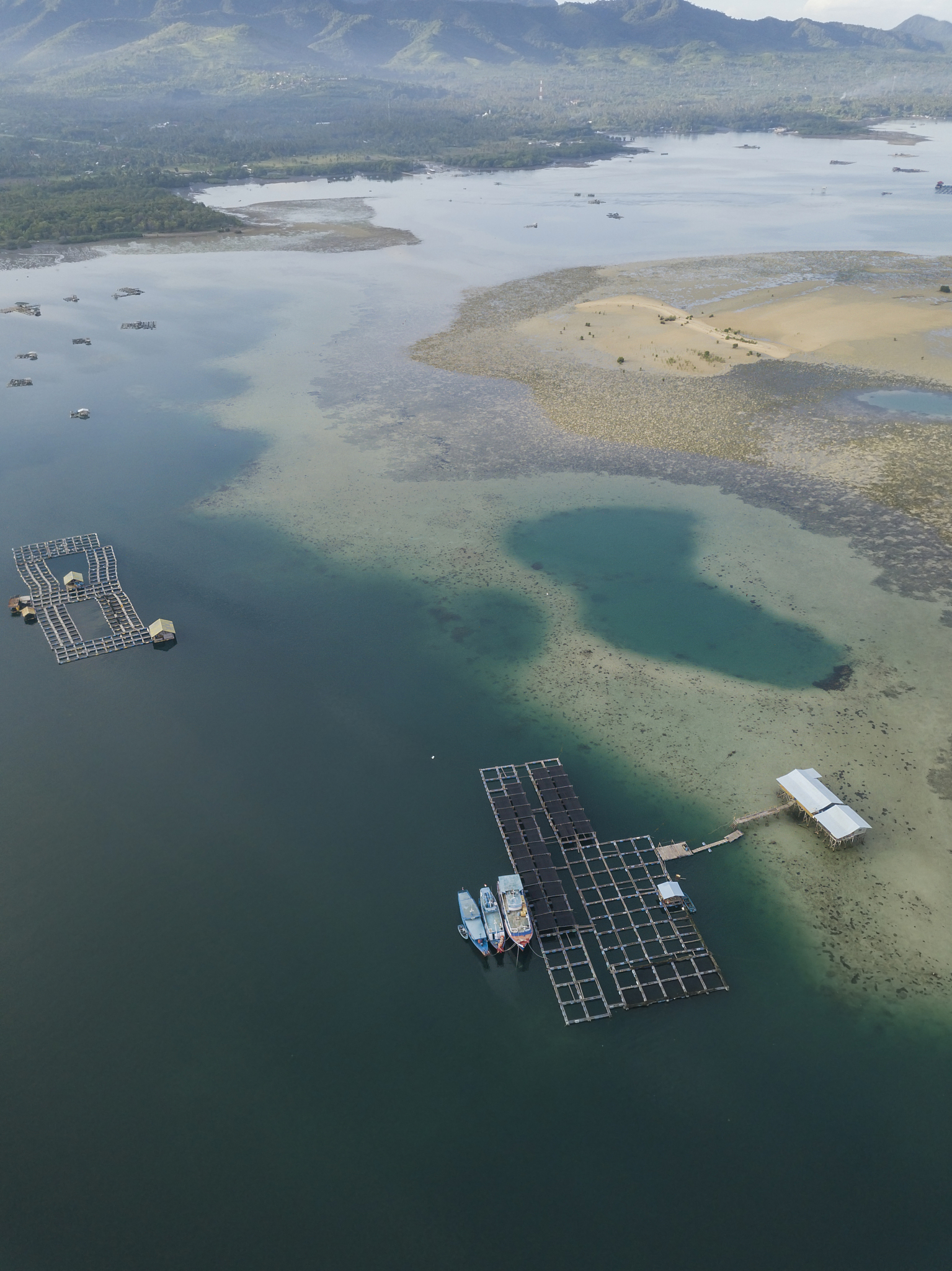 青岛市动植物种类丰富繁茂对经贸的影响