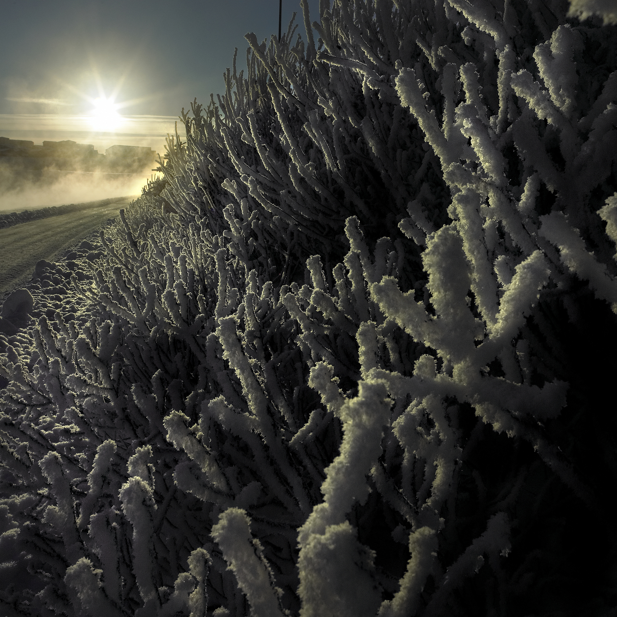 那么硅基生命可能具有哪些特征？