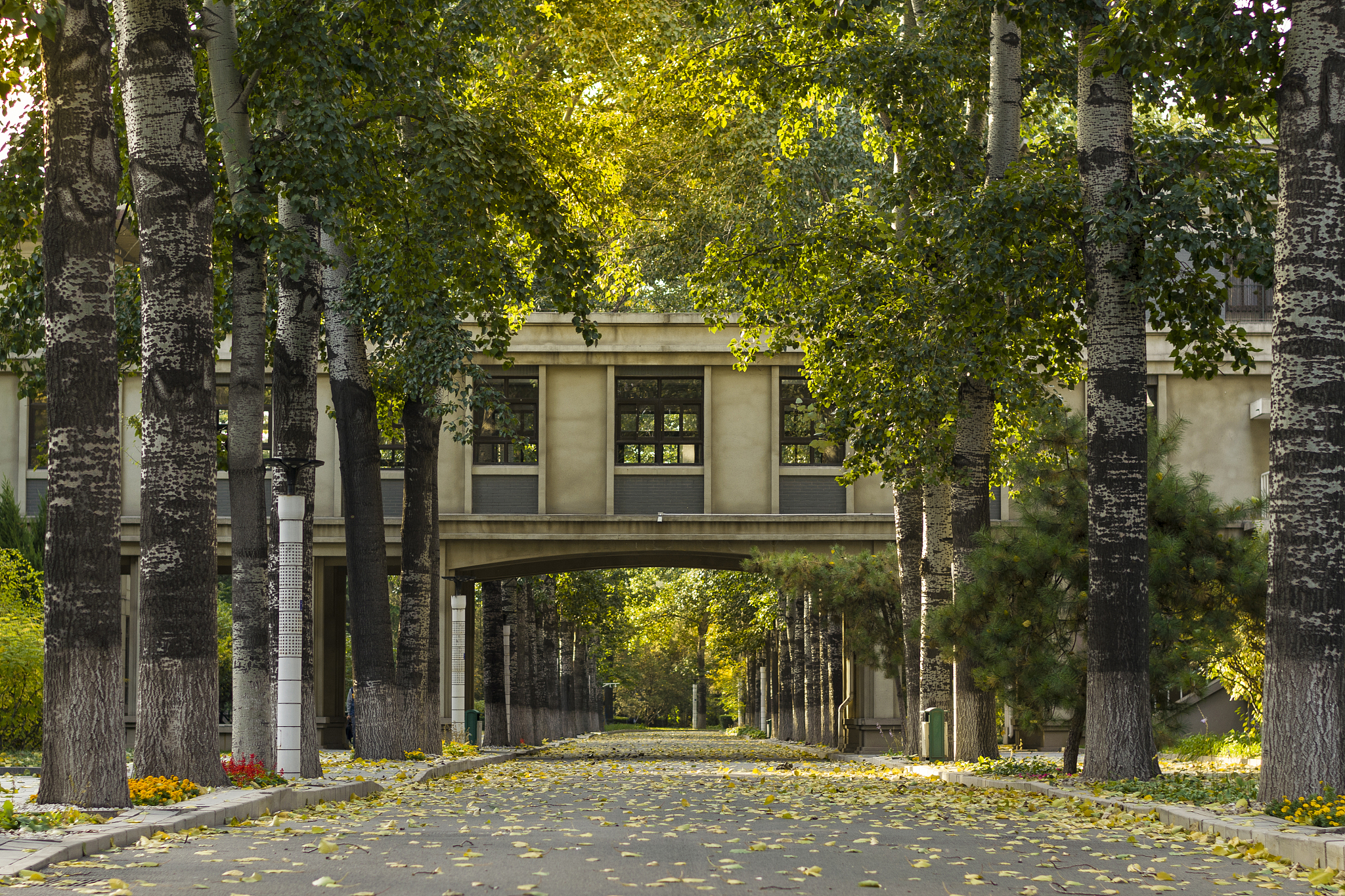 北京市财经学校专业设置