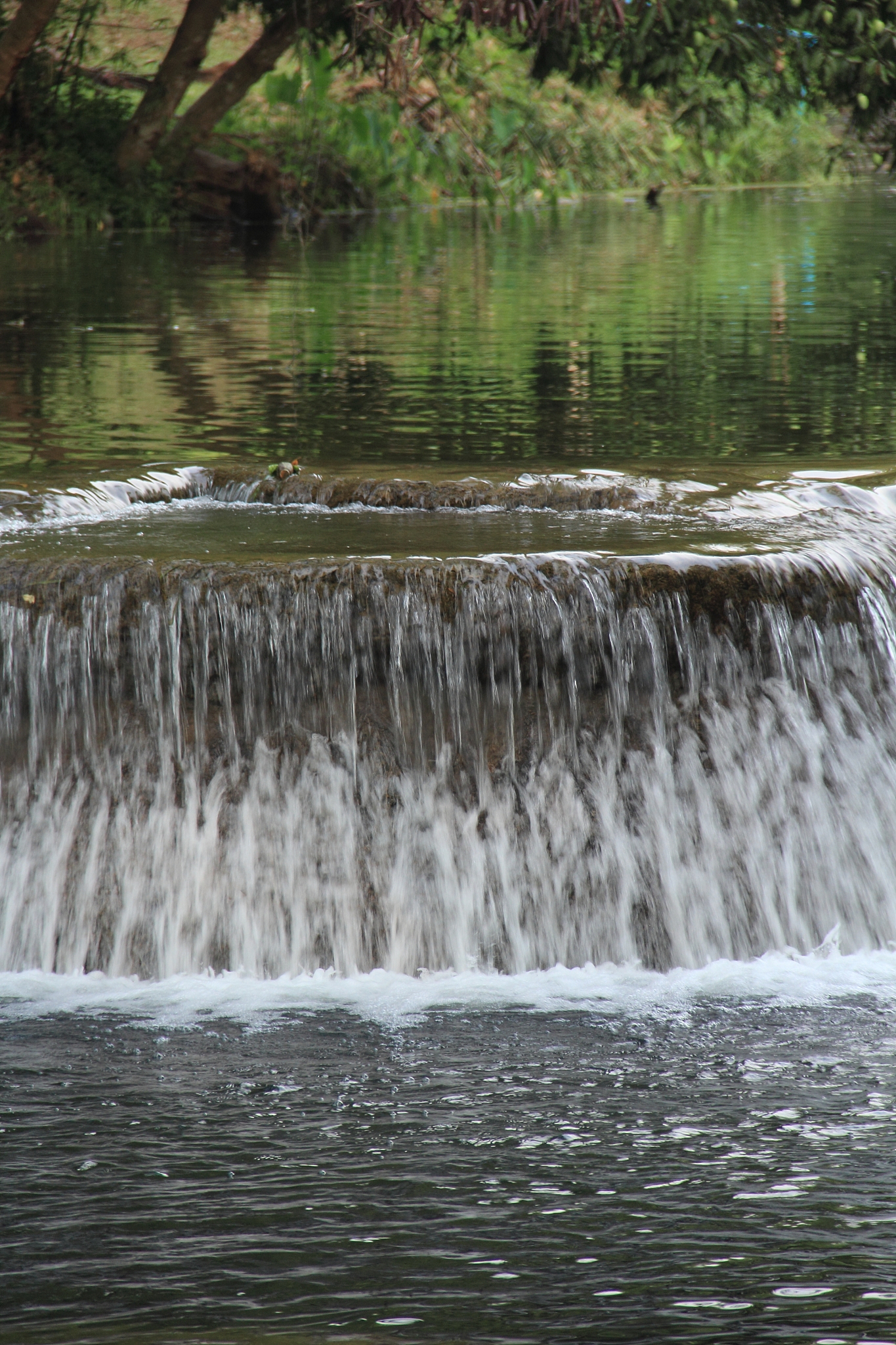 the waterfall.