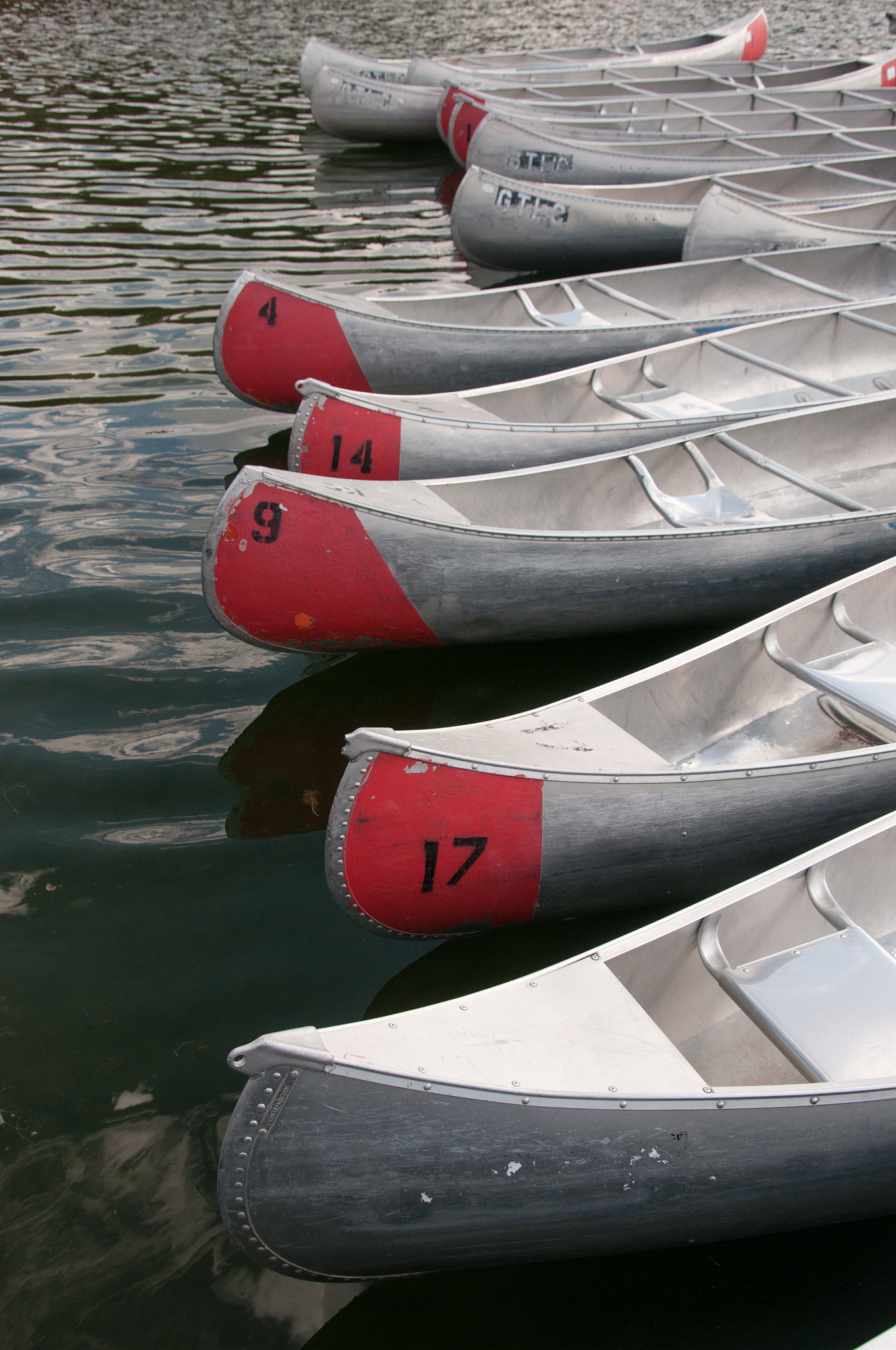 canoes at grand tetons