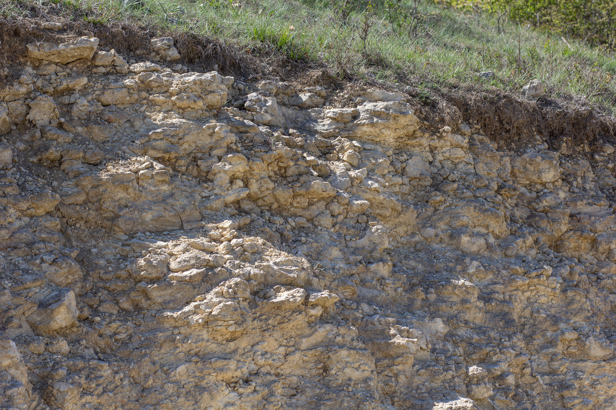 秭归兰陵溪茶园花岗闪长岩：侏罗纪时代的岩石