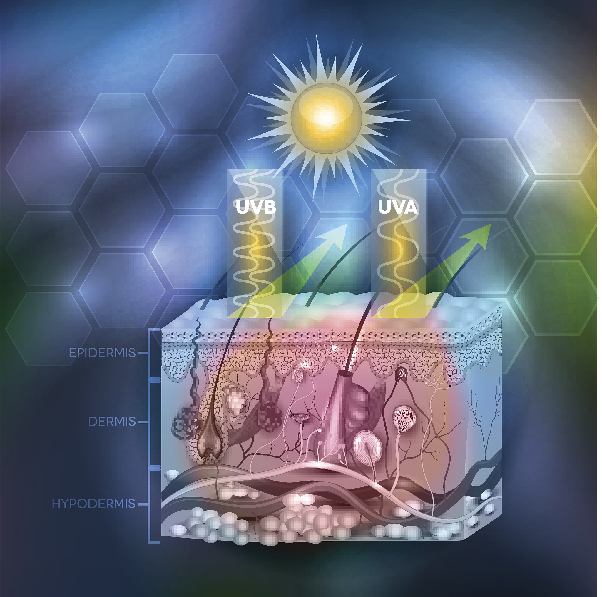 壳聚糖基生物材料促进皮肤伤口愈合：不足与创新改进