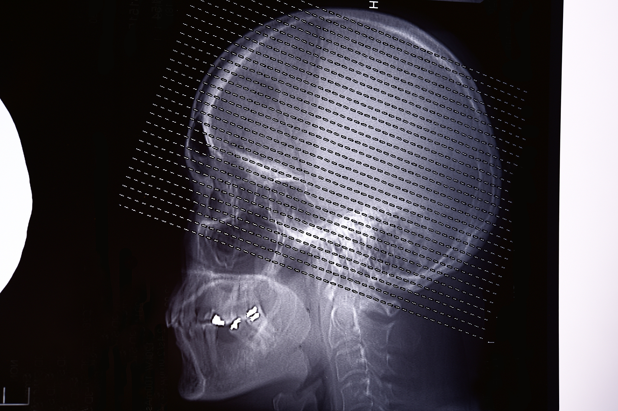 常州卫生高等职业技术学校单招2023年招生简章