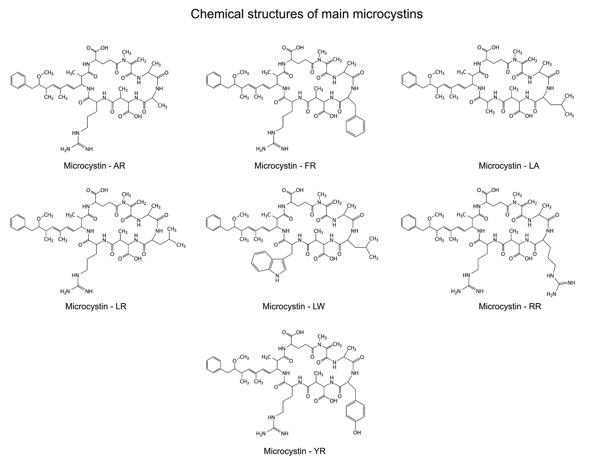 下界和下确界：定义、区别与应用