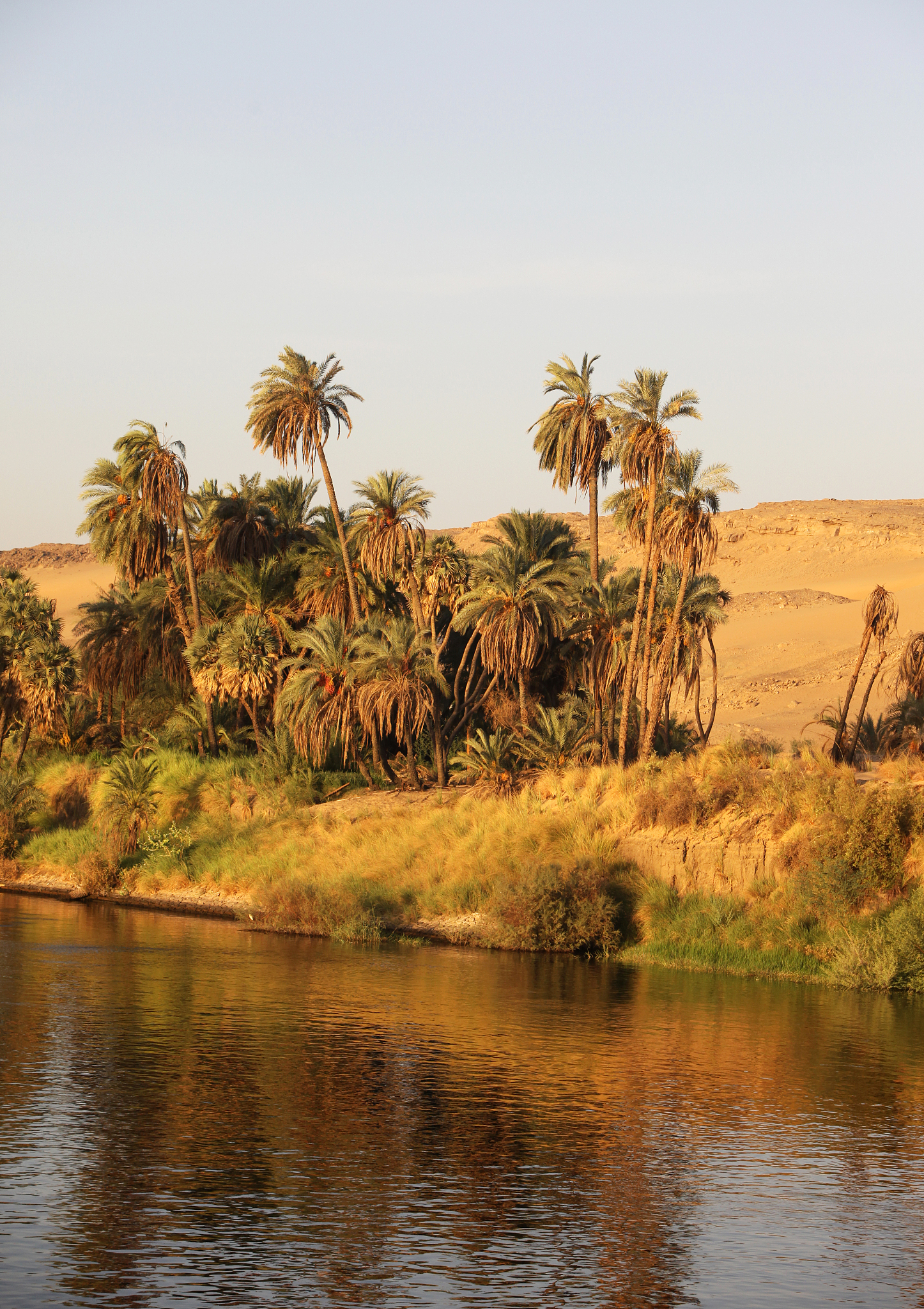 介绍苏丹的文章