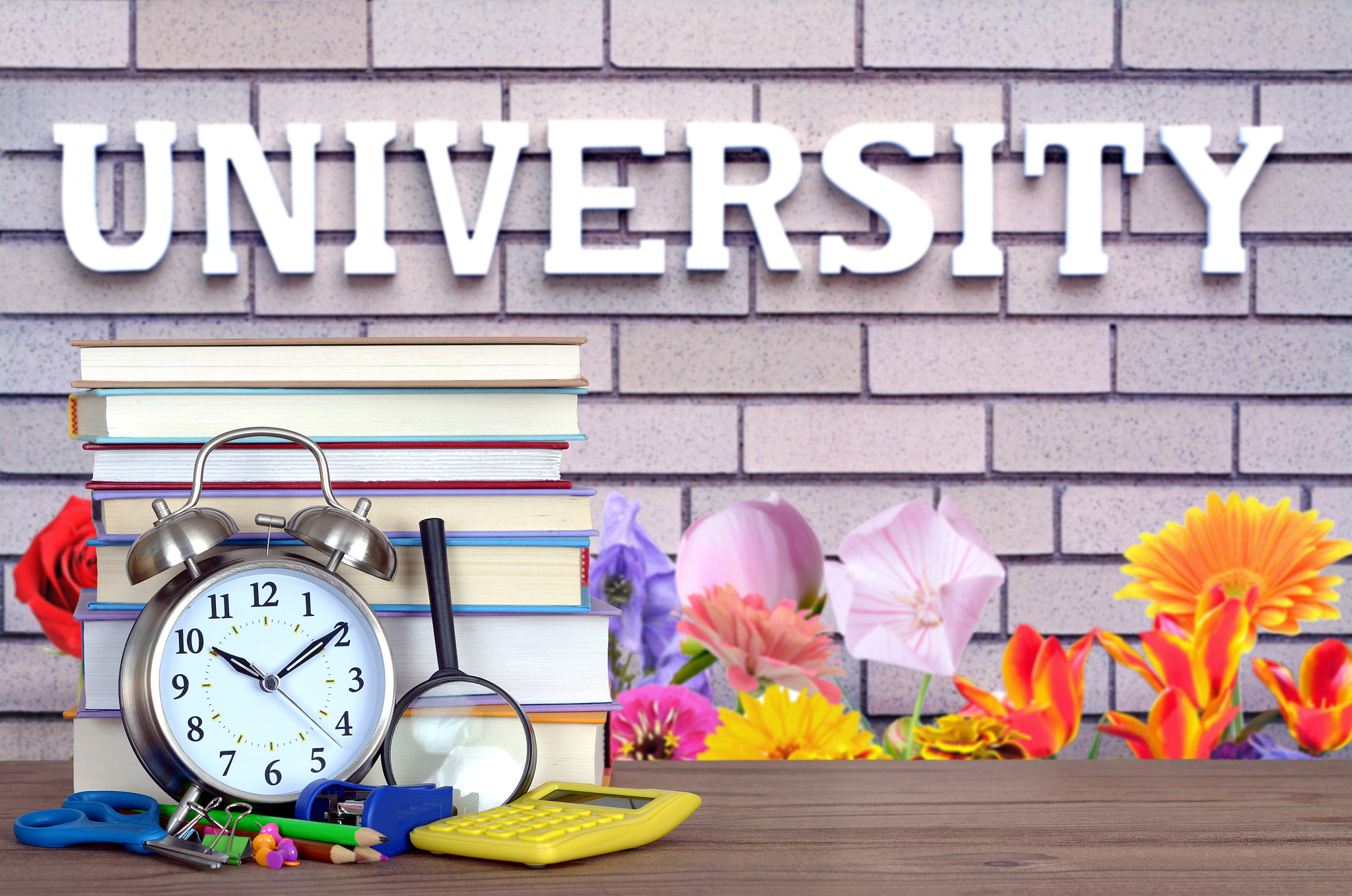 提升学习效率，注重耐心和细致