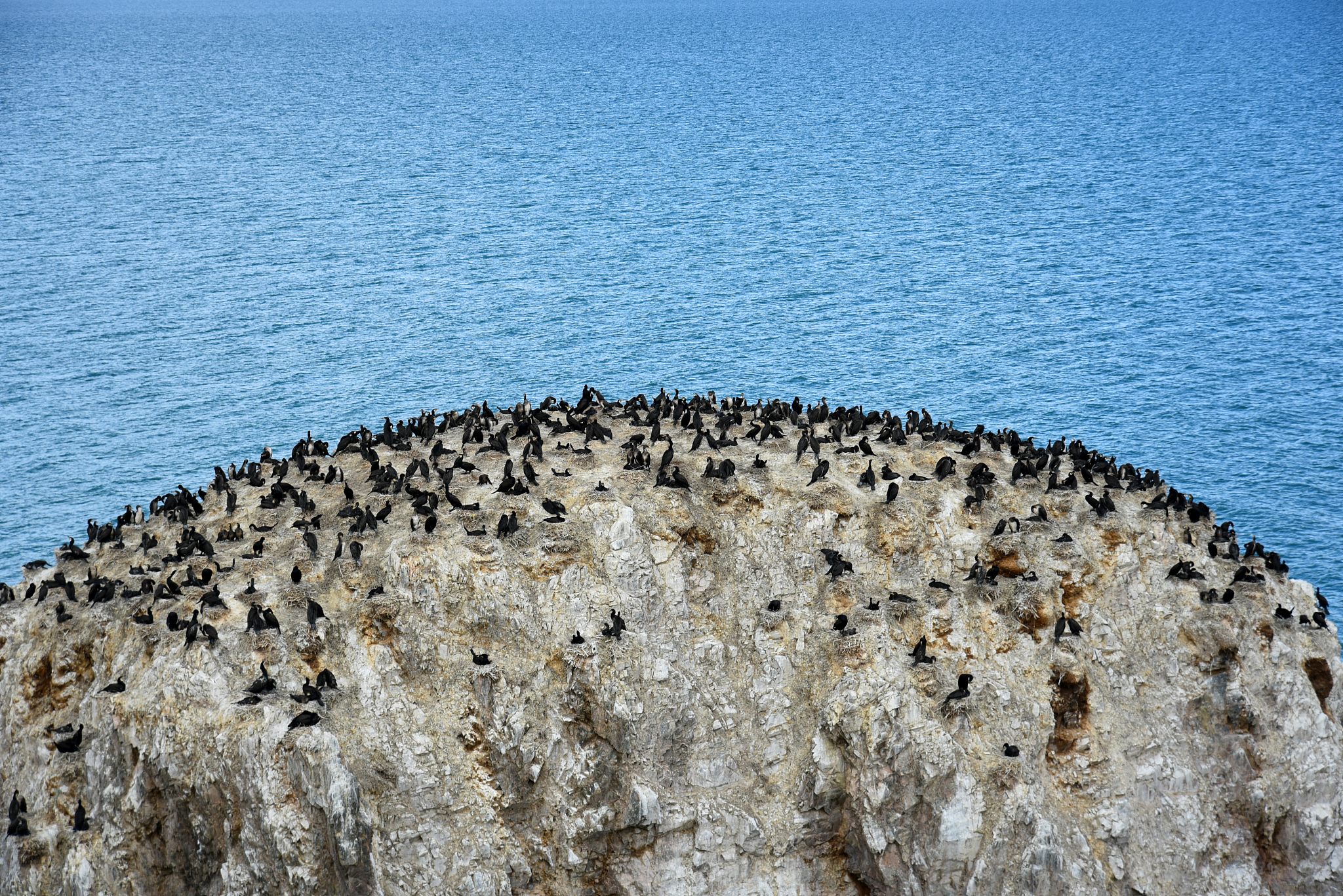 青海档案数字化甲级公司 - 专业高效的数字化解决方案